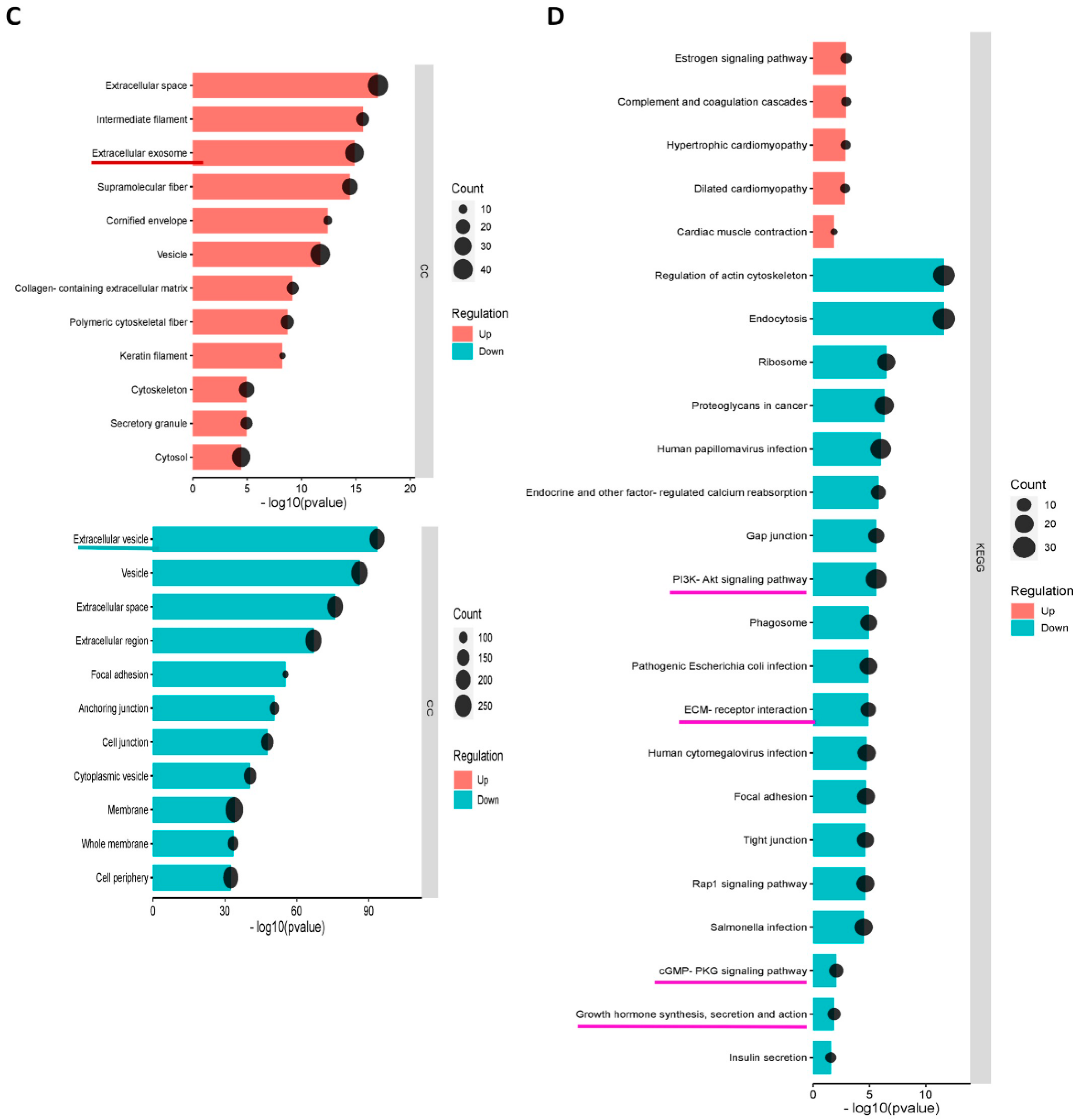 Biomedicines 11 02804 g005b Biomedicines 11 02804 g005b