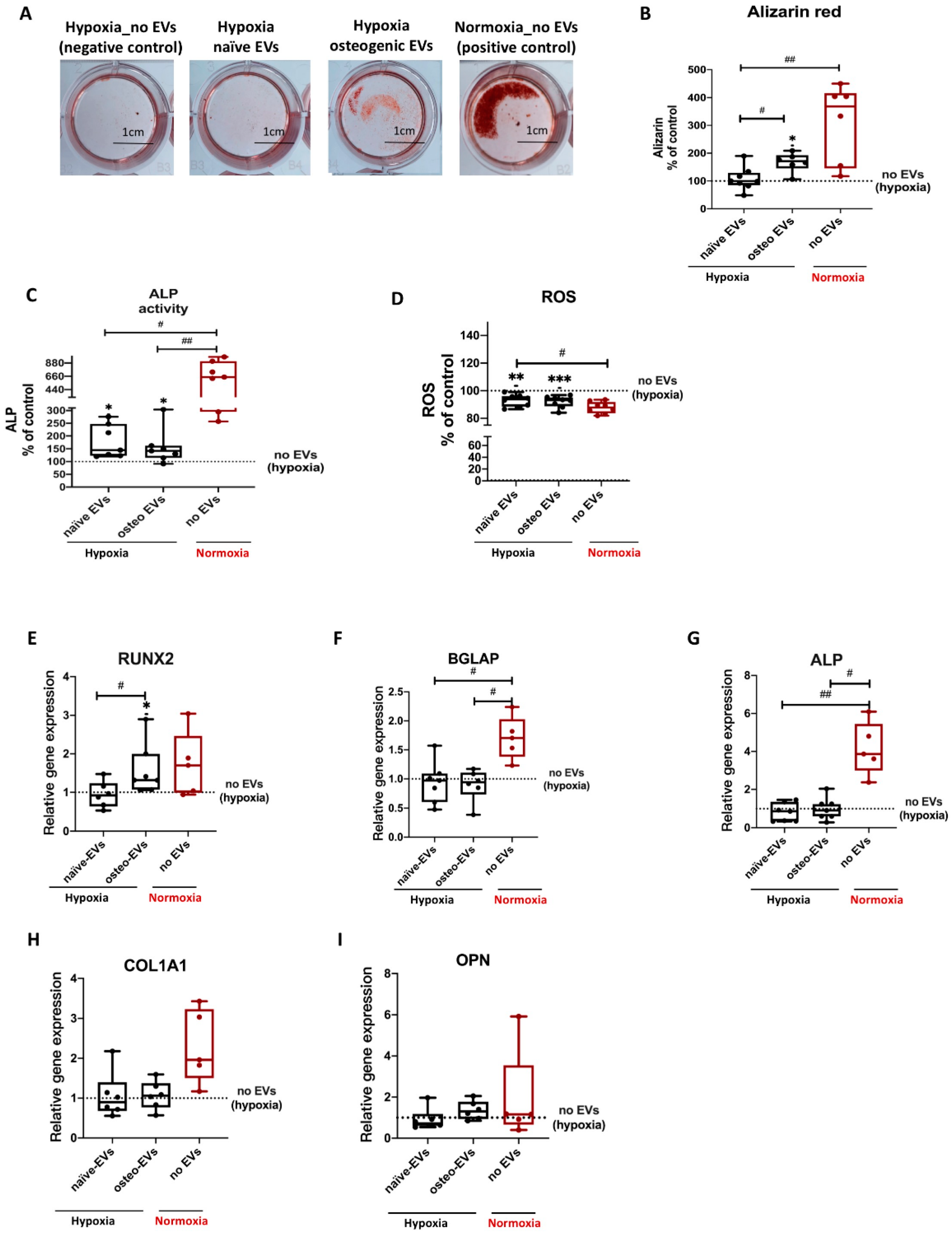 Biomedicines 11 02804 g007 Biomedicines 11 02804 g007