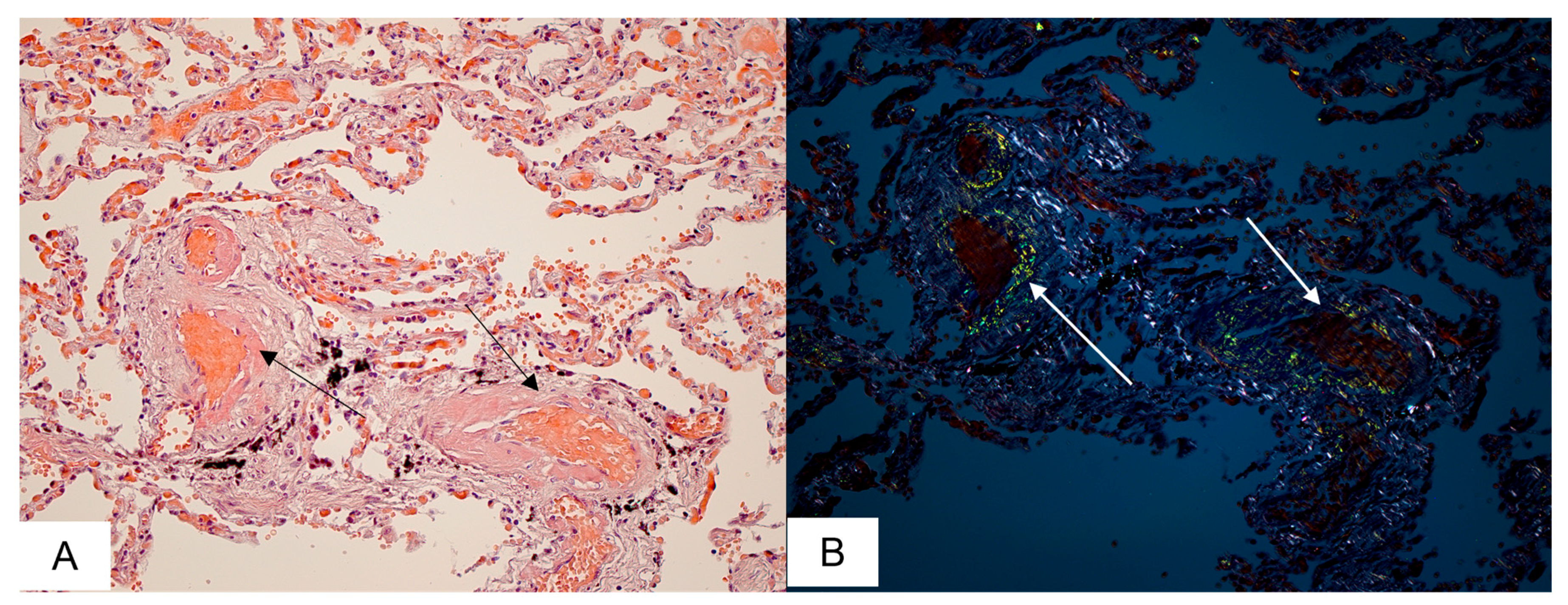 Biomedicines 11 02811 g002