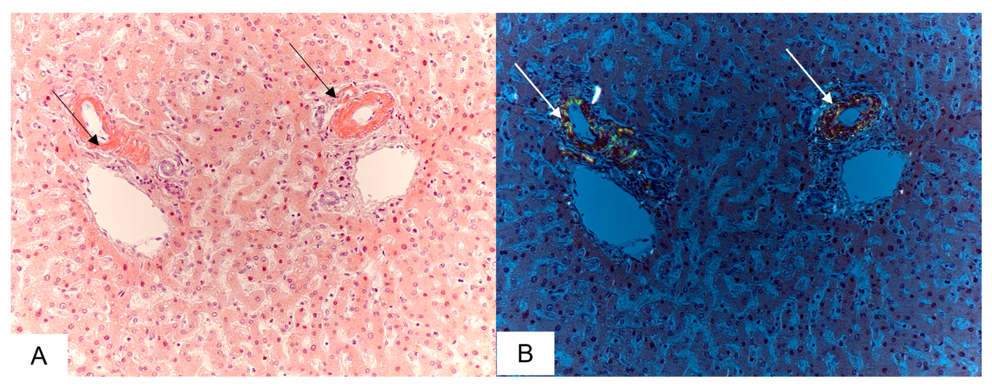 Biomedicines 11 02811 g003
