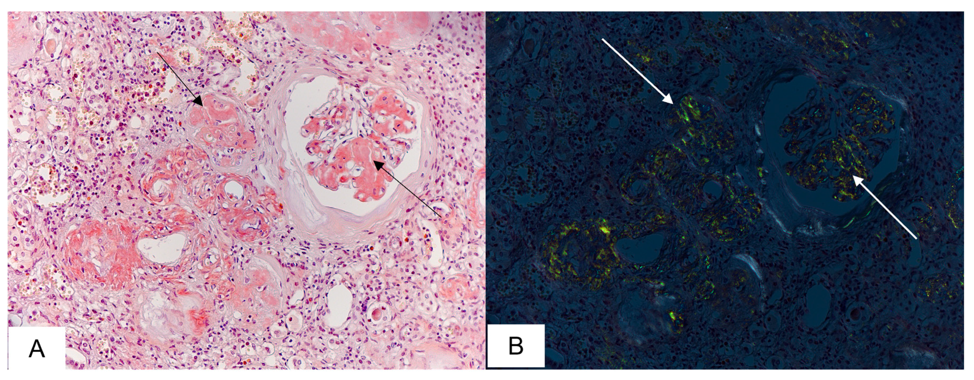 Biomedicines 11 02811 g004