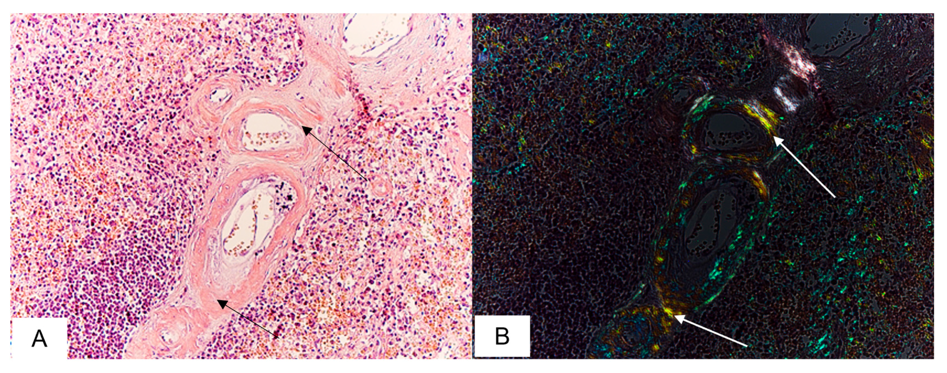 Biomedicines 11 02811 g005