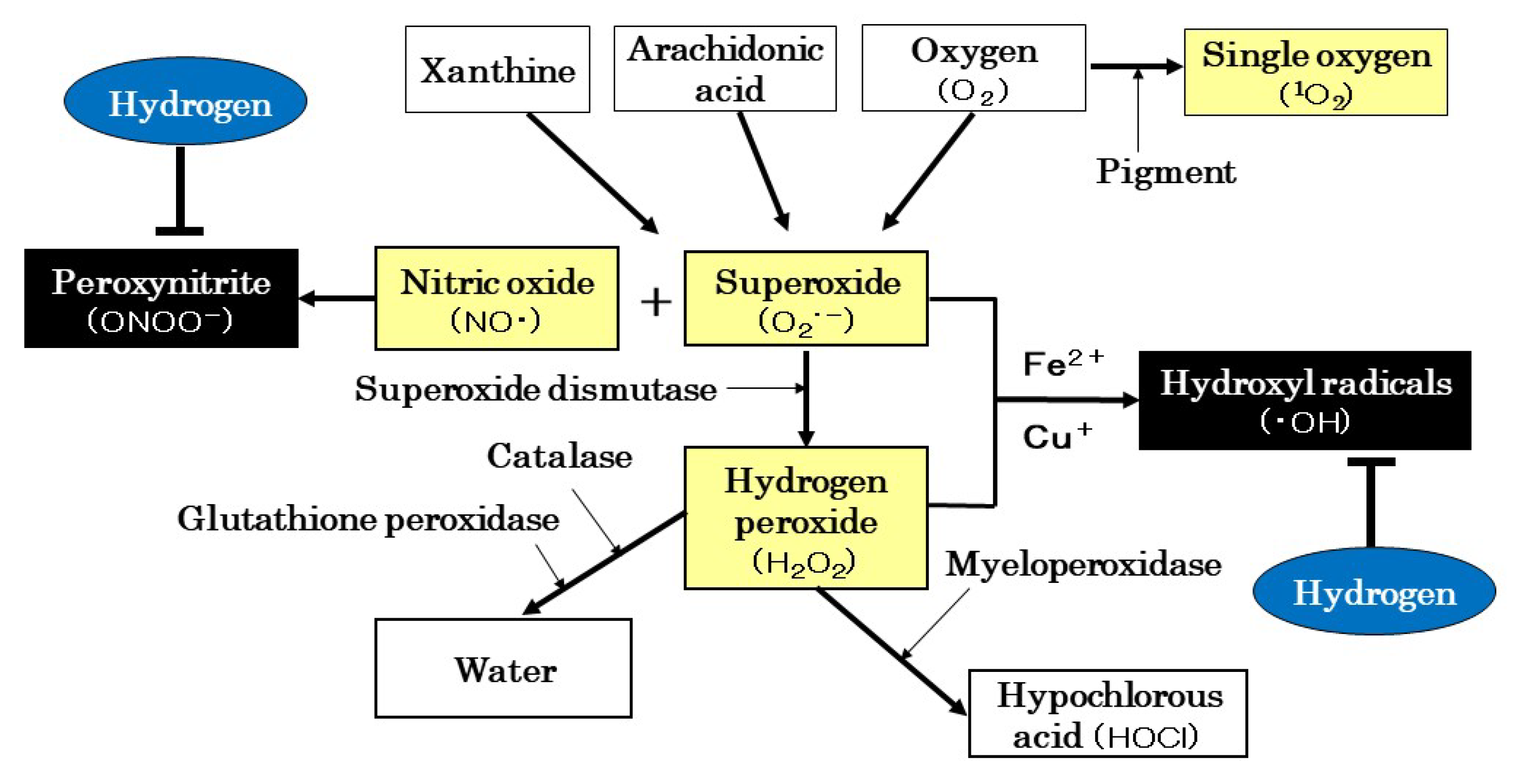 minato A New Approach for the Prevention and Treatment of