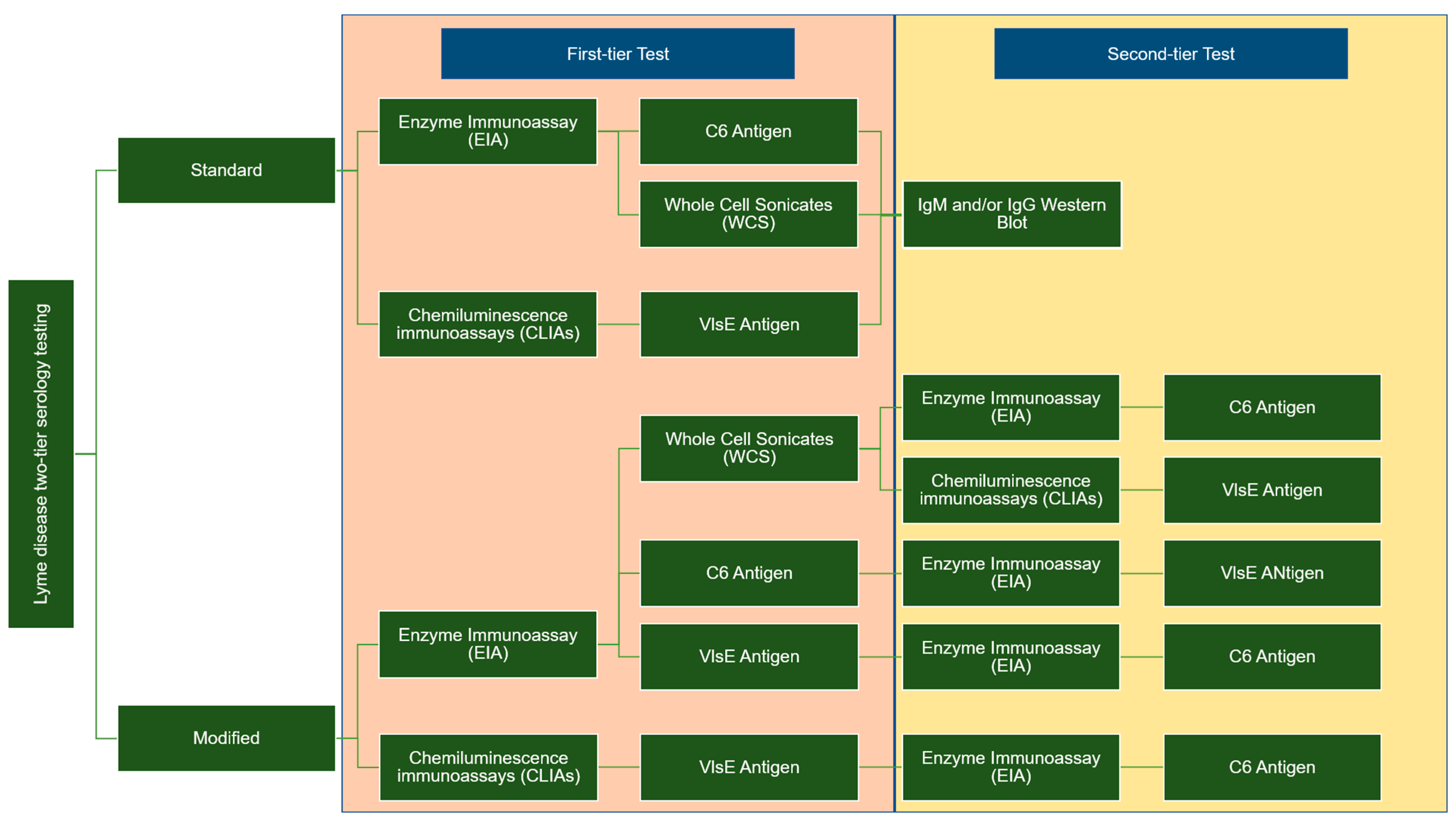 Biomedicines 11 02818 g001