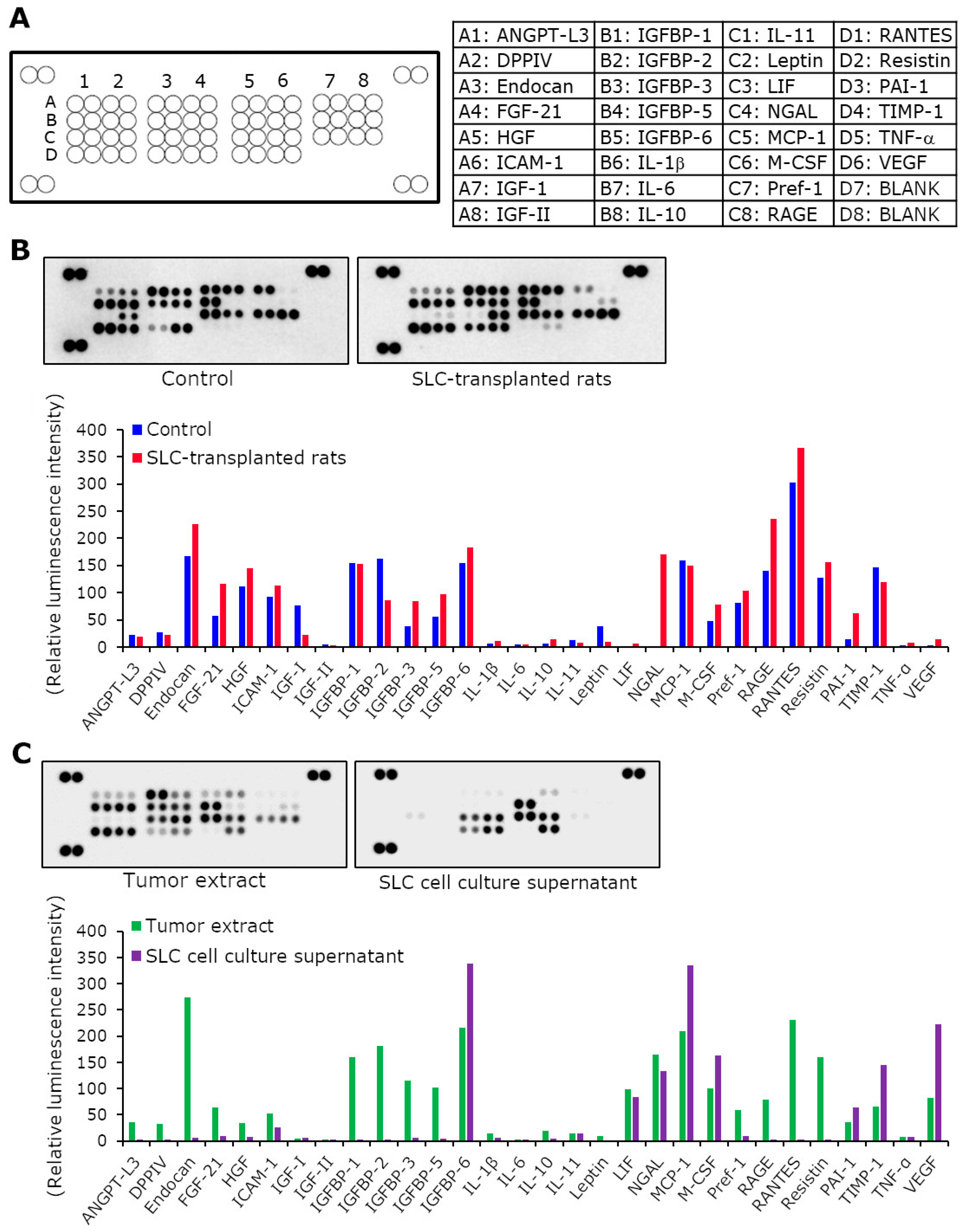 Biomedicines 11 02824 g005