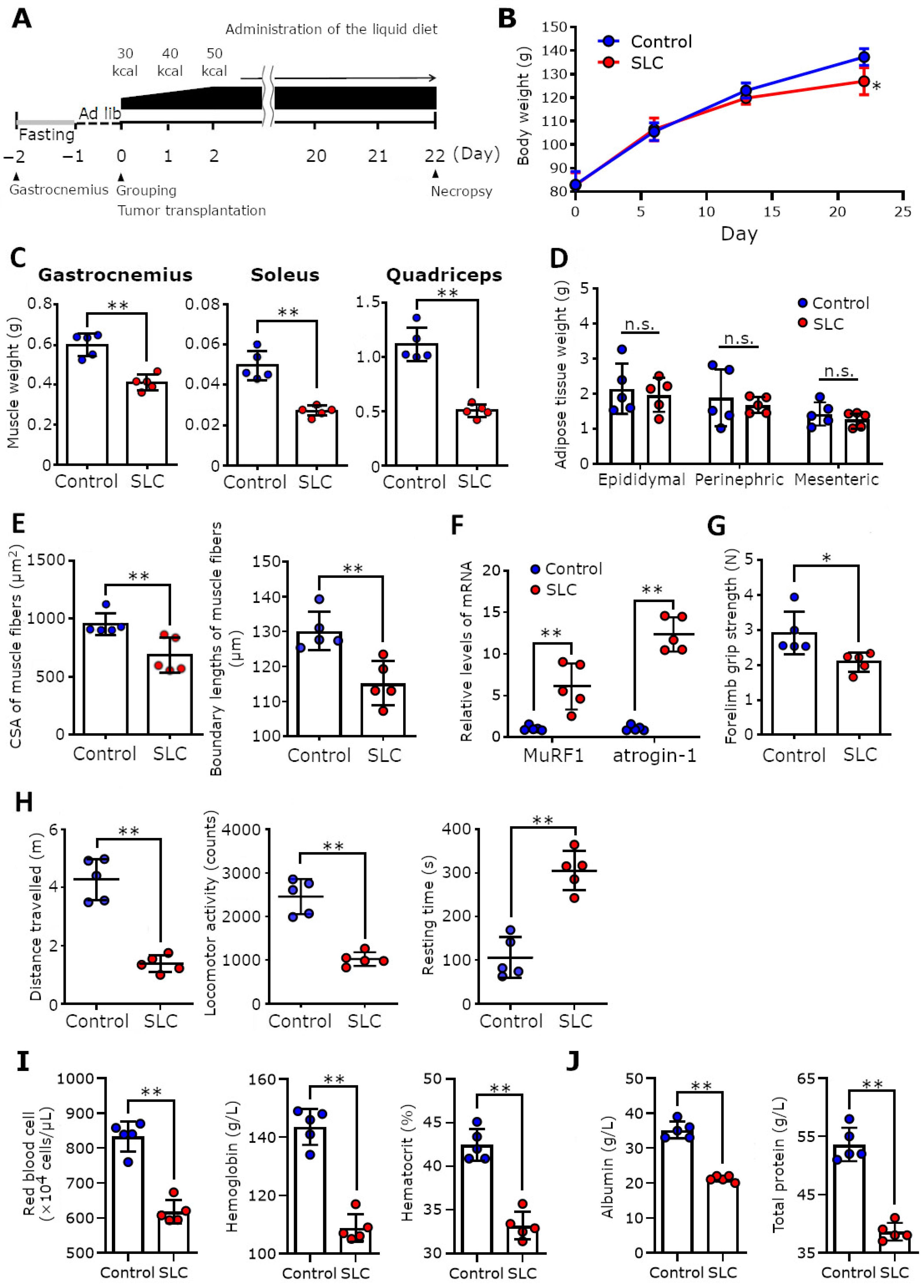 Biomedicines 11 02824 g006