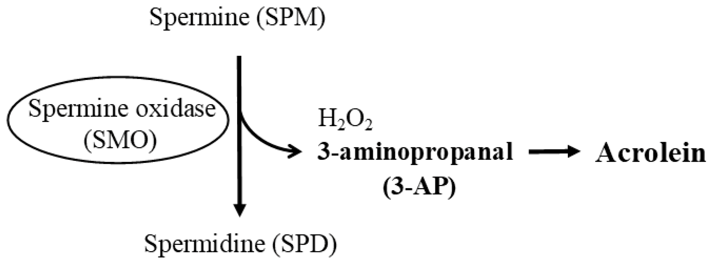 Biomedicines 11 02827 g003