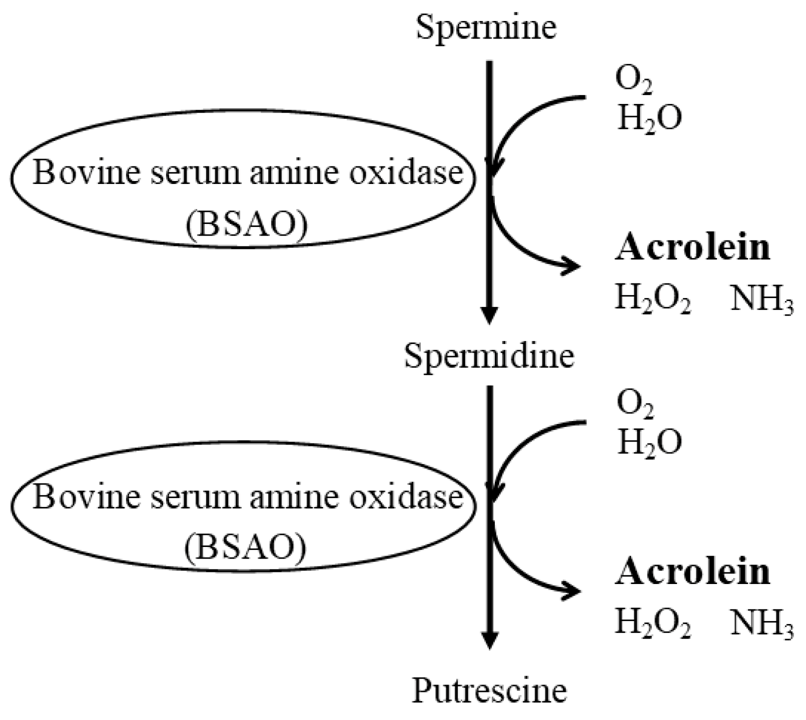 Biomedicines 11 02827 g004