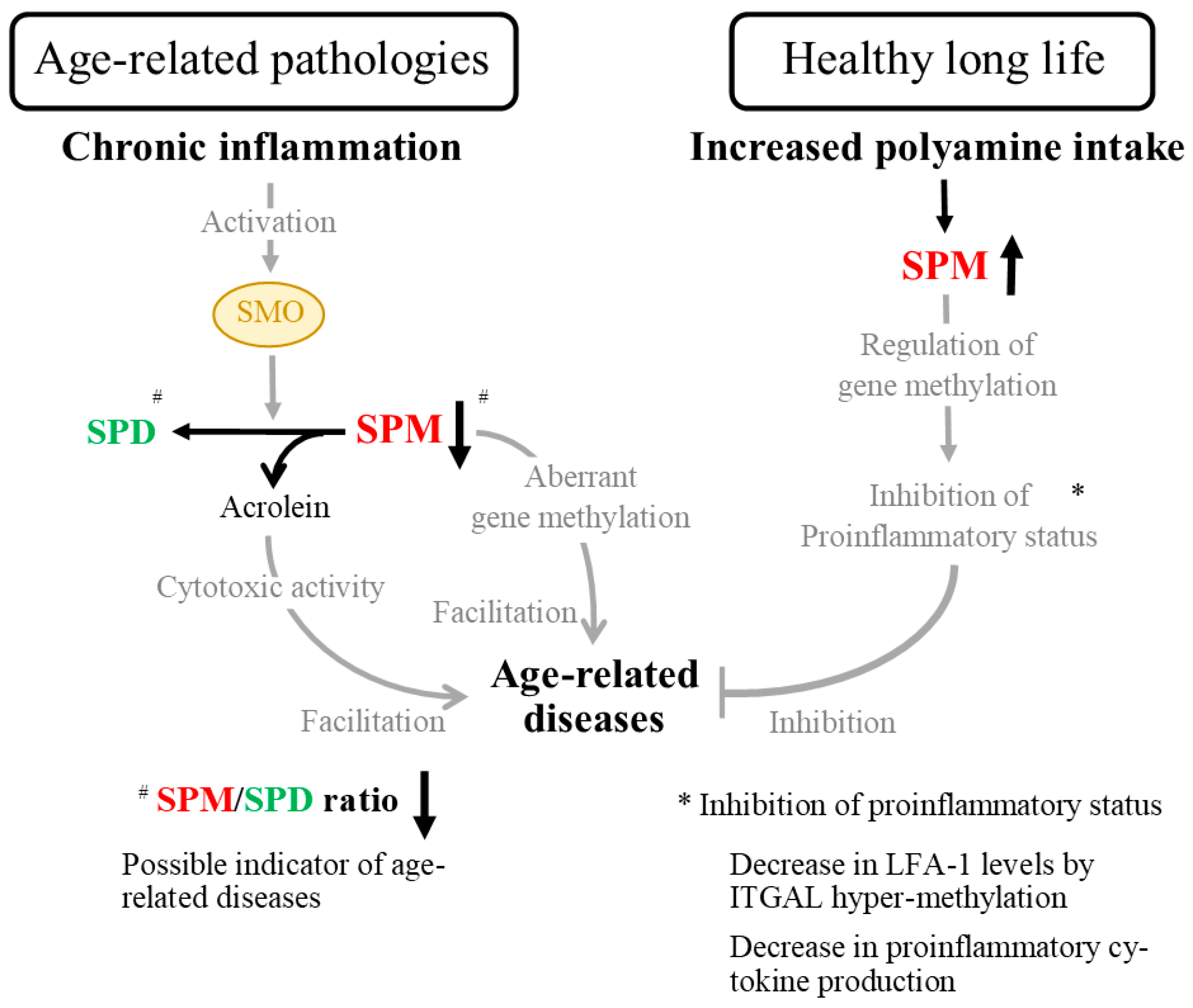 Biomedicines 11 02827 g007