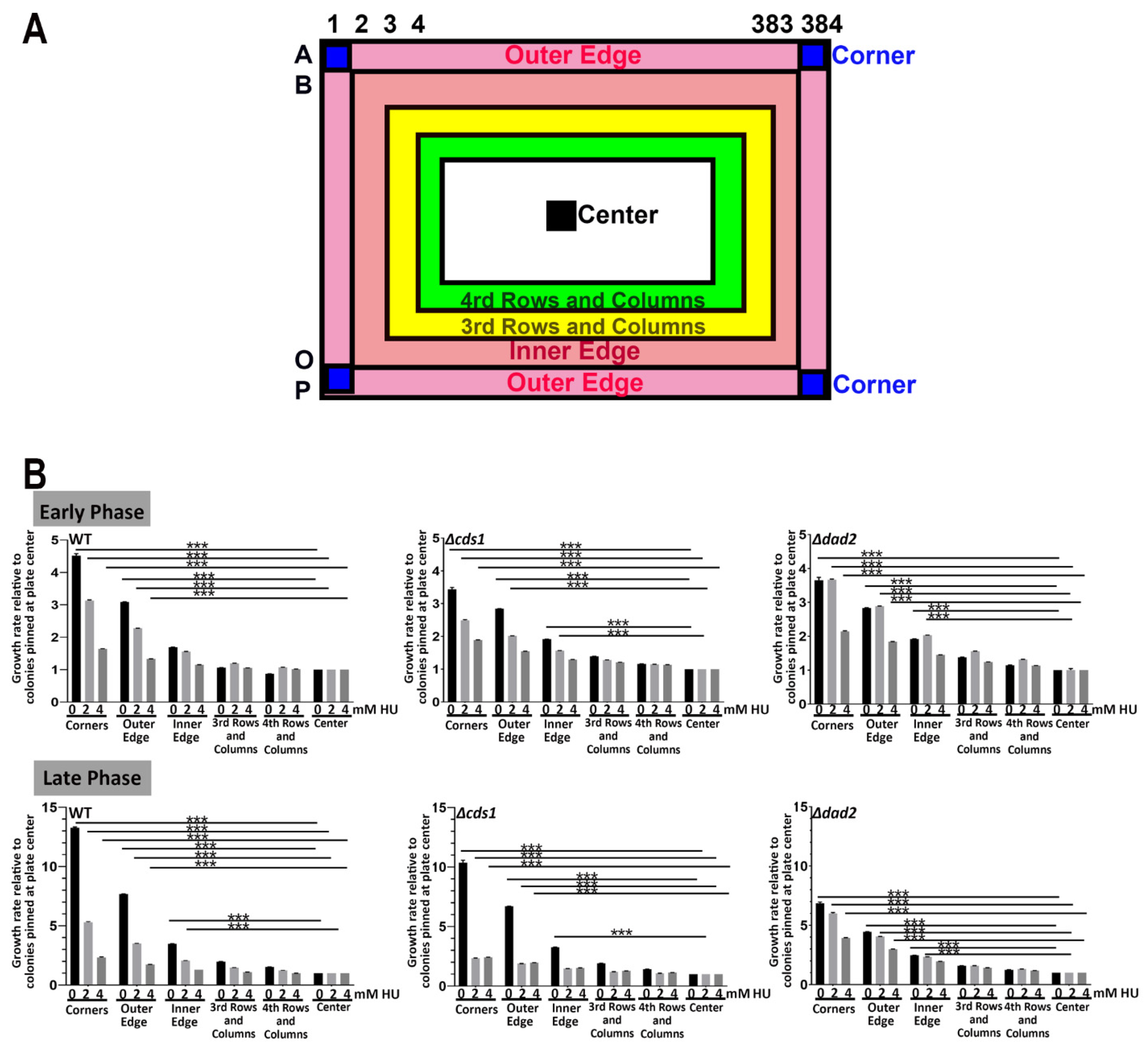 Biomedicines 11 02829 g005