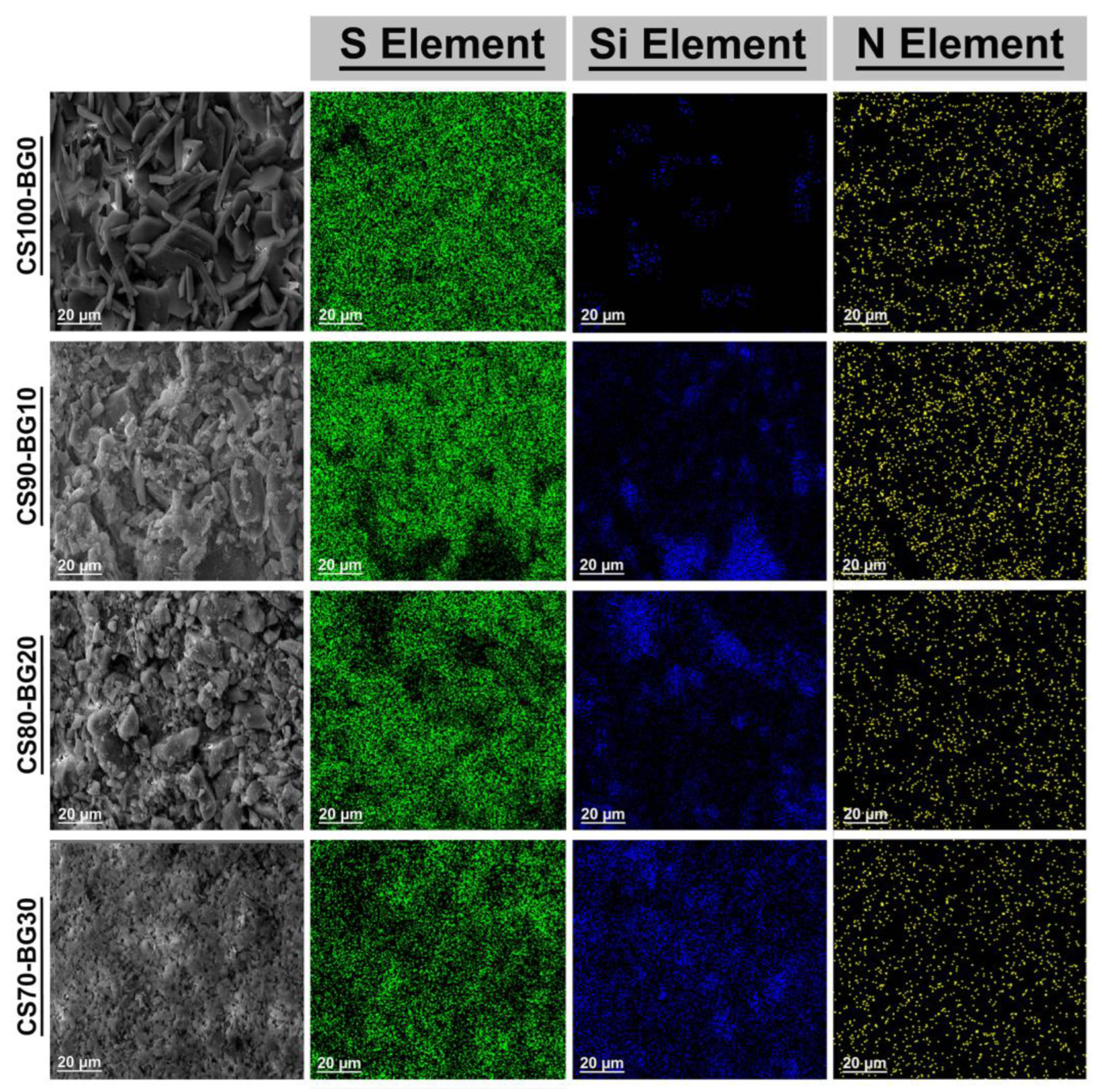 Biomedicines 11 02833 g003