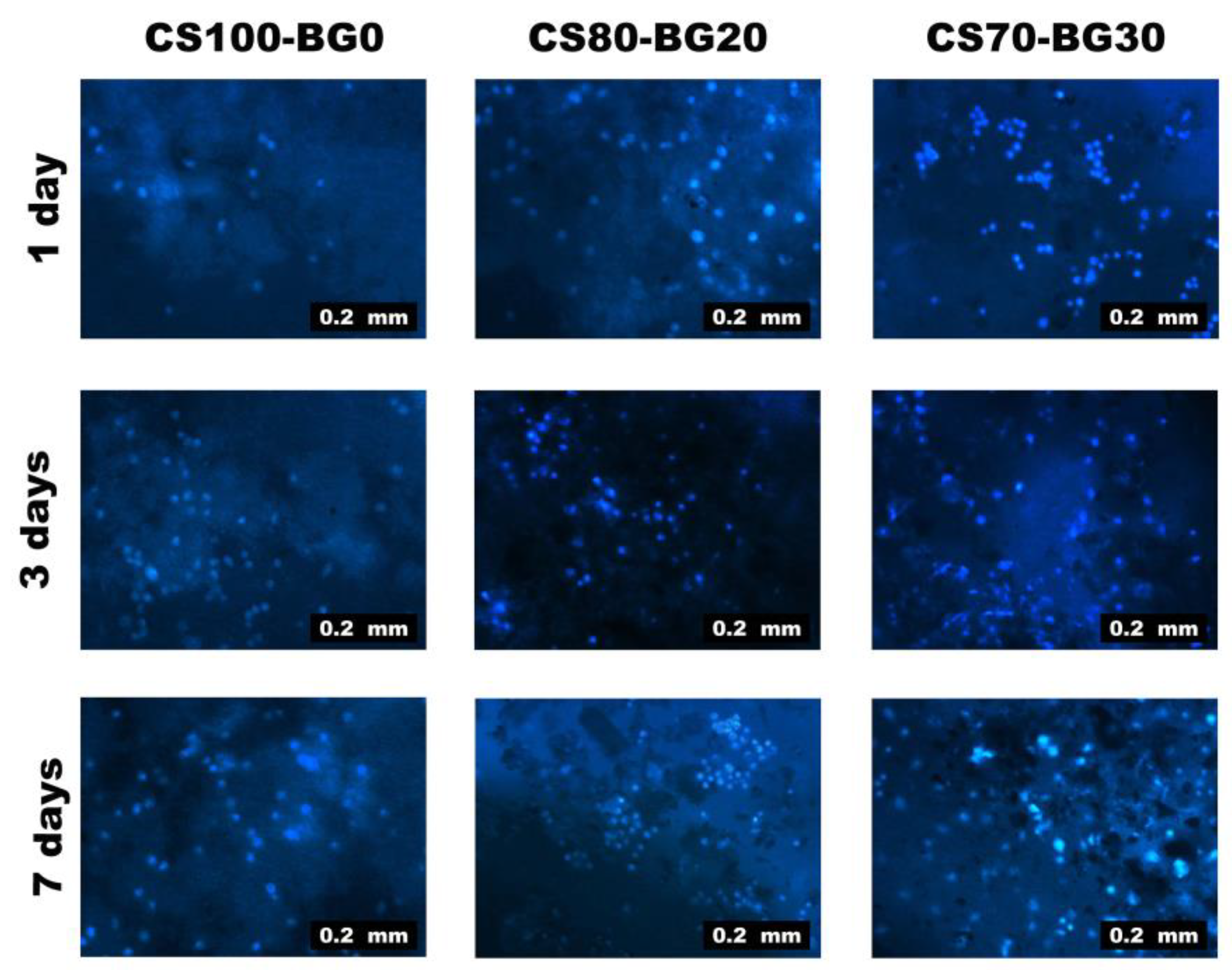 Biomedicines 11 02833 g008