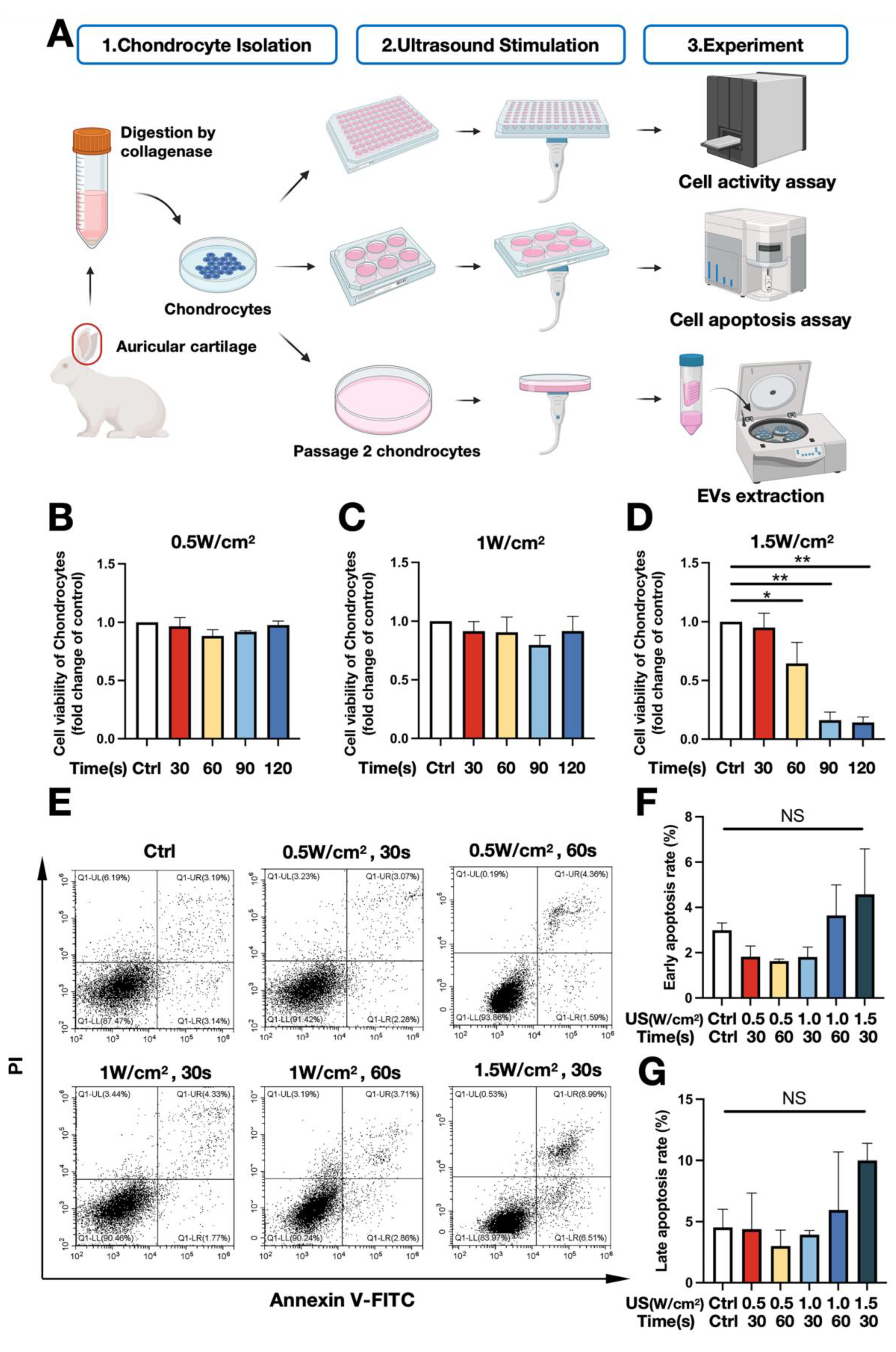 Biomedicines 11 02836 g001
