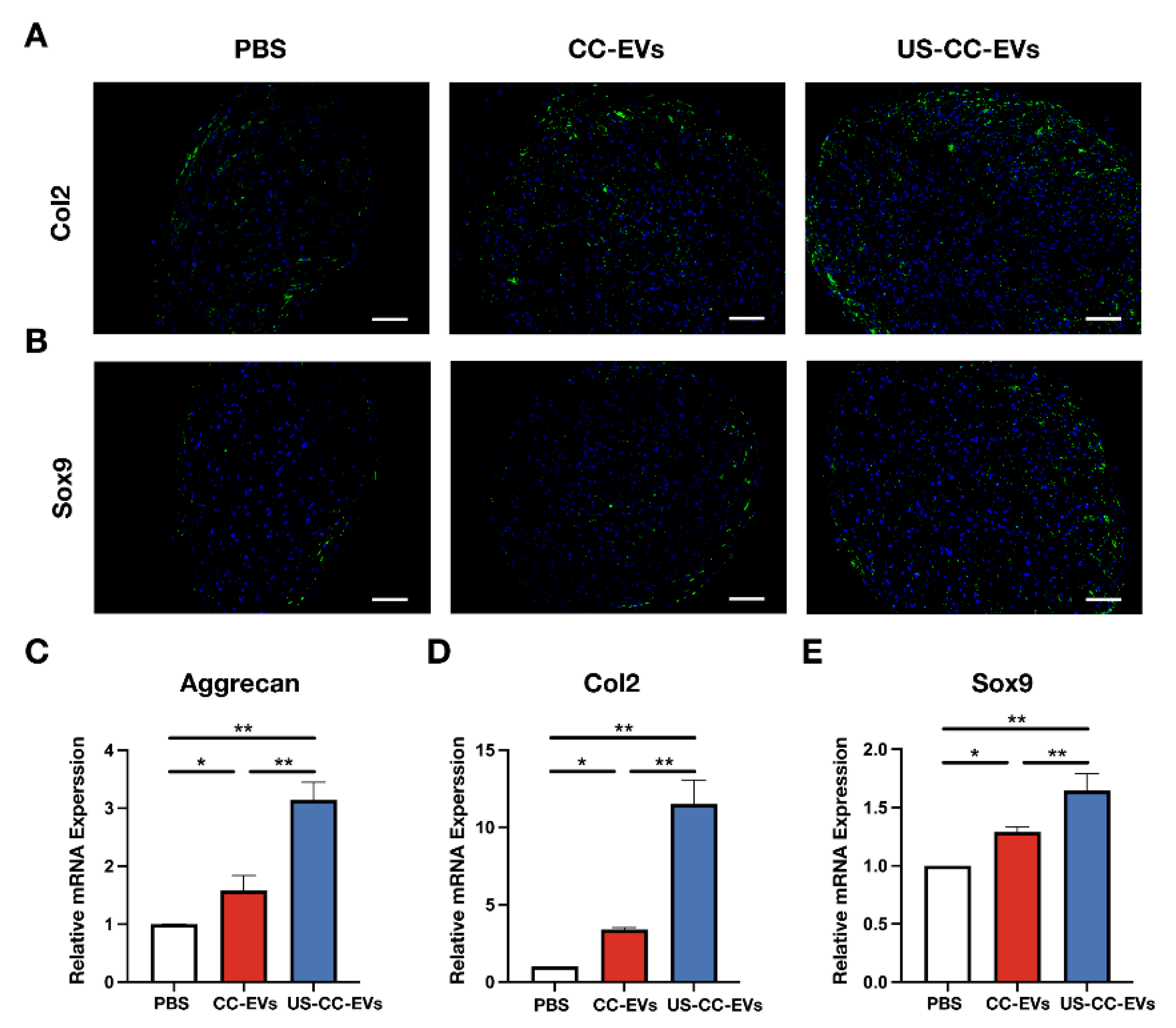 Biomedicines 11 02836 g005