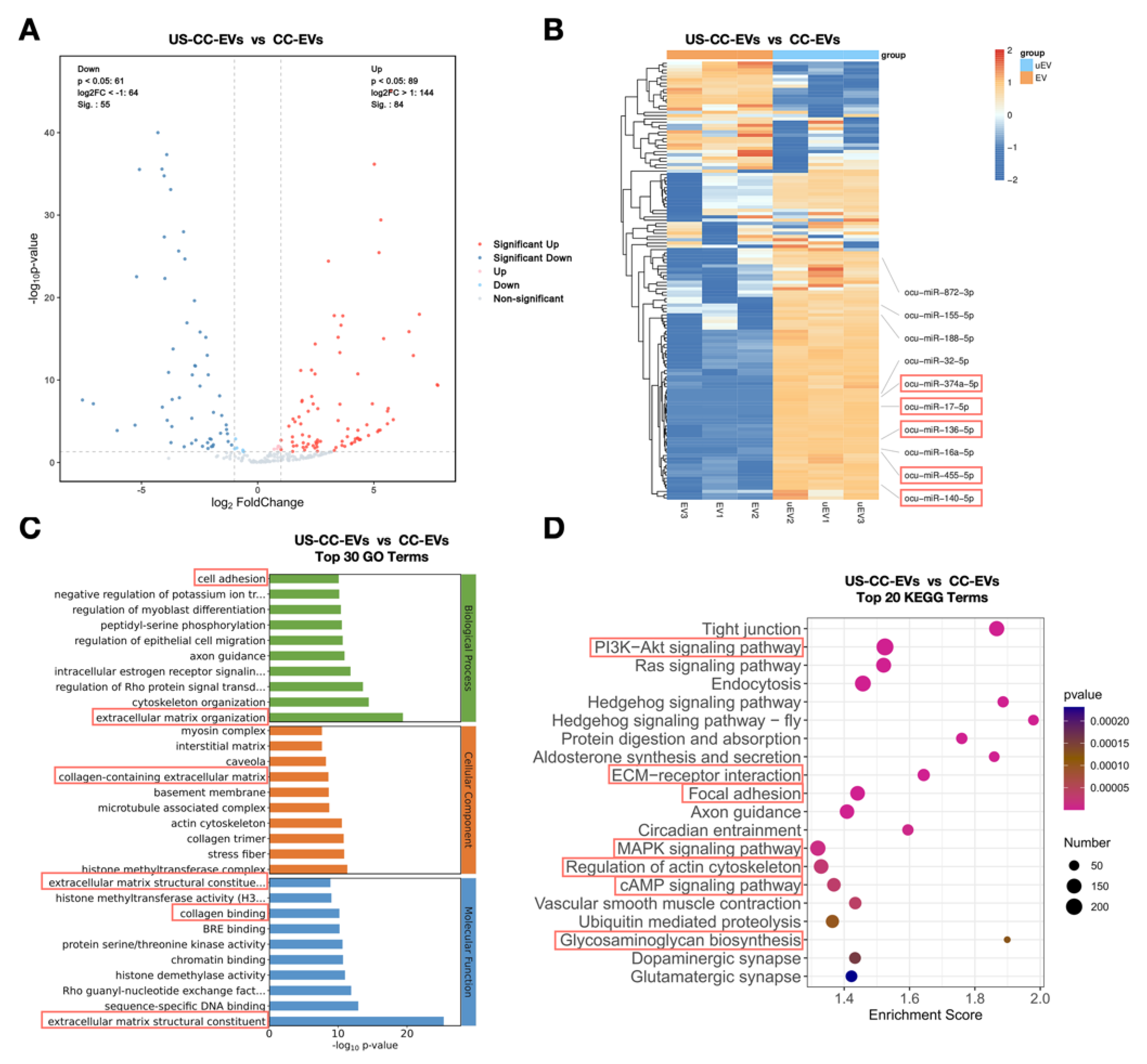 Biomedicines 11 02836 g006