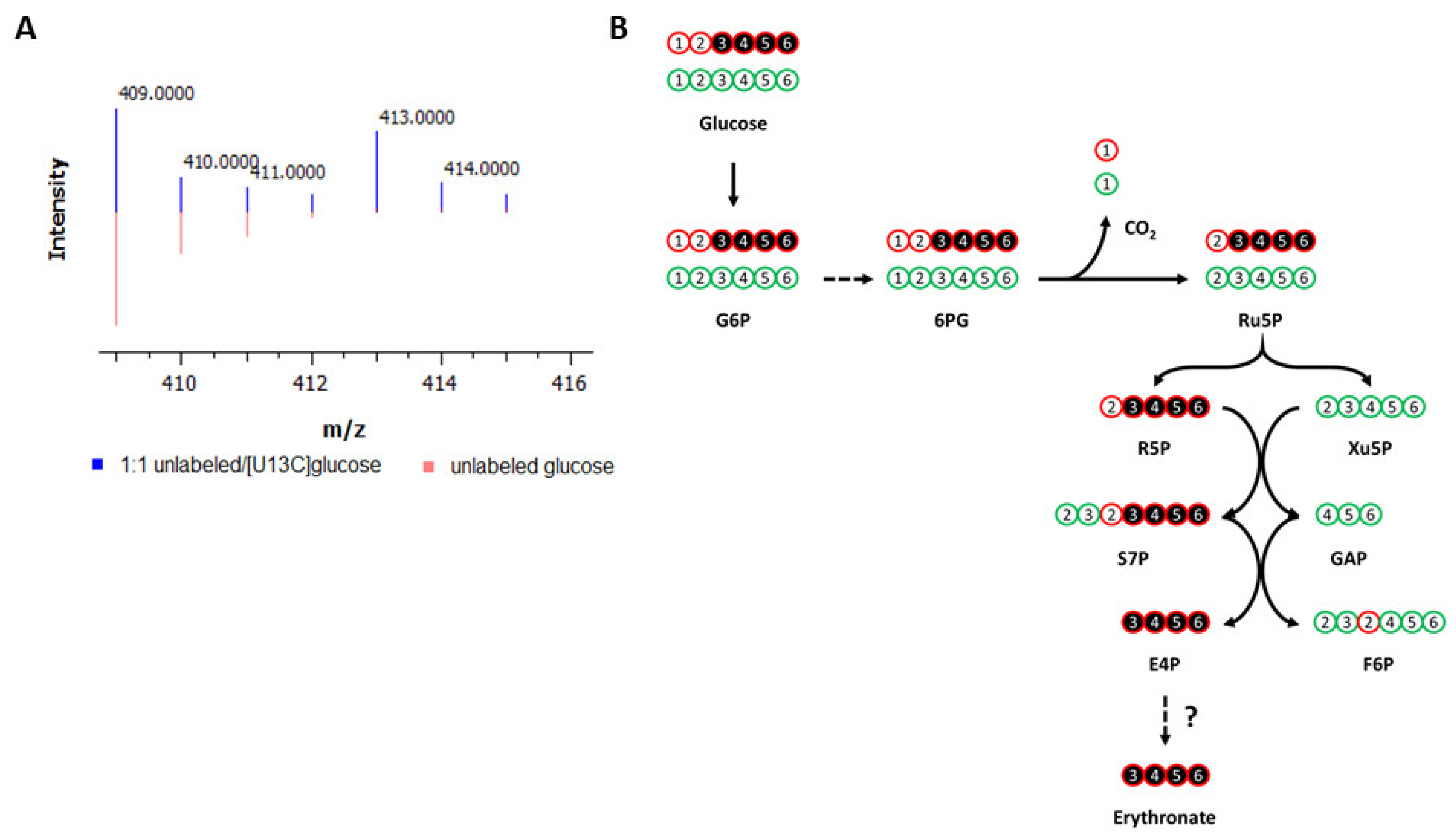 Biomedicines 11 02842 g001 Biomedicines 11 02842 g001