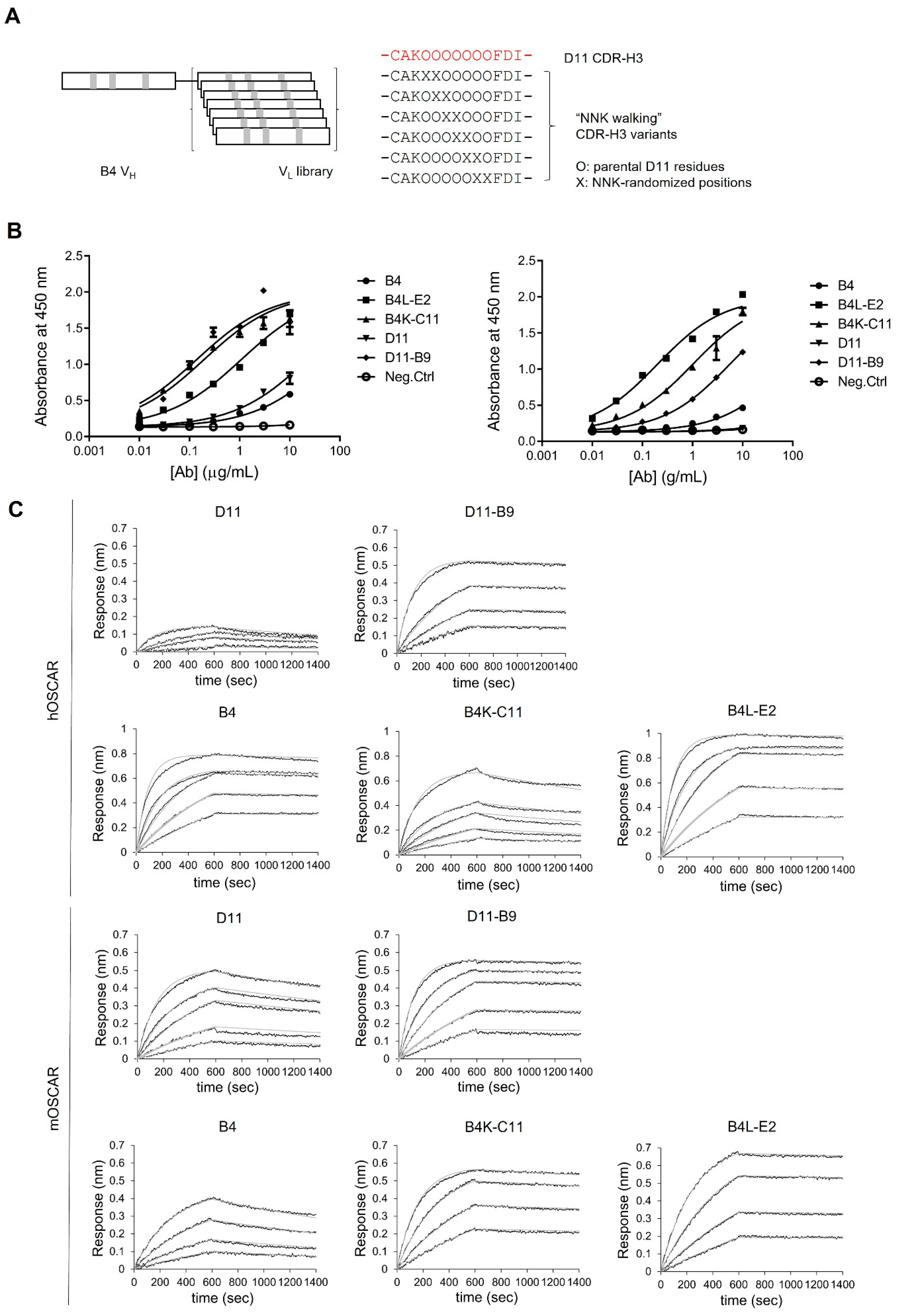 Biomedicines 11 02844 g002 Biomedicines 11 02844 g002