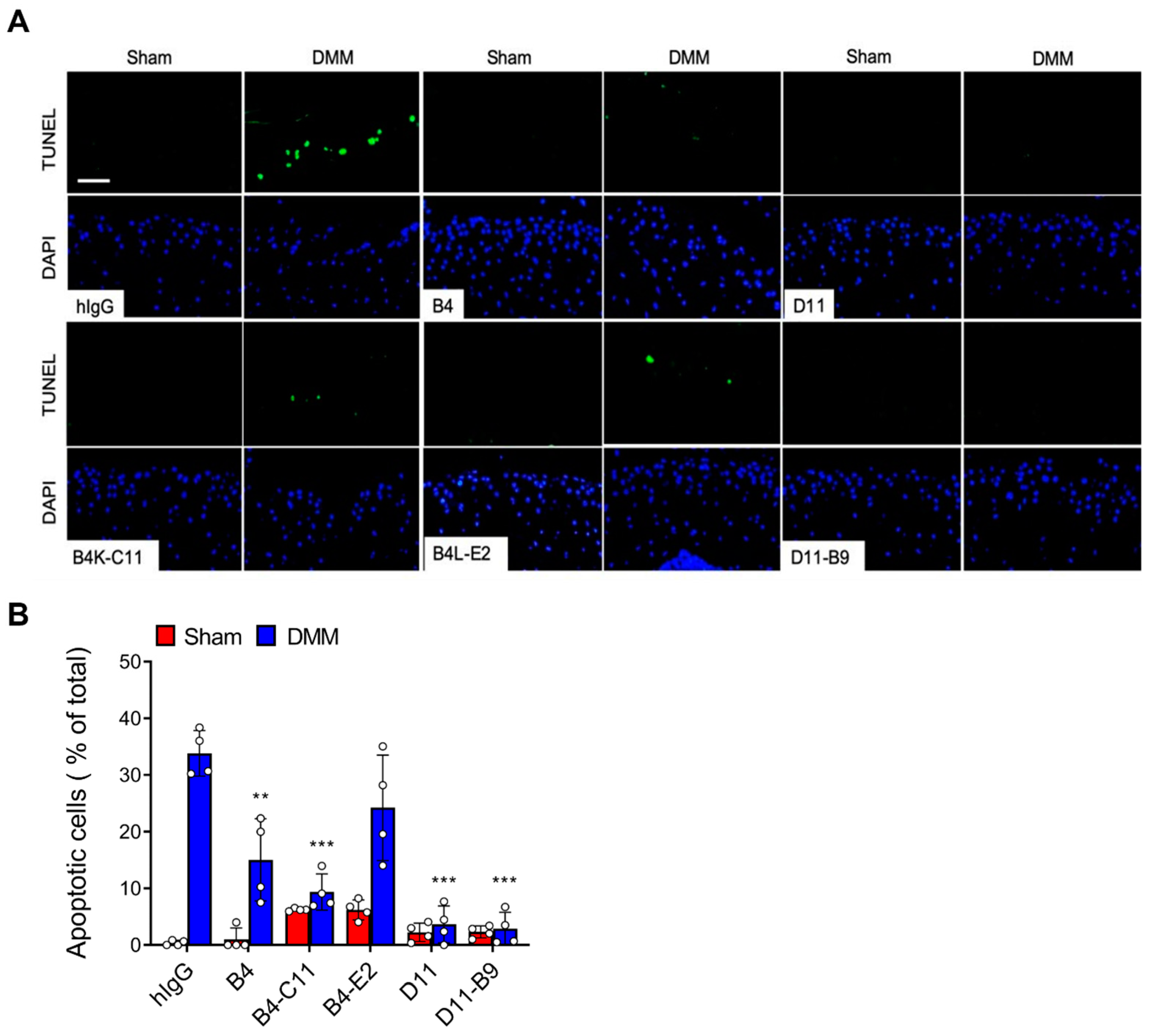 Biomedicines 11 02844 g004 Biomedicines 11 02844 g004