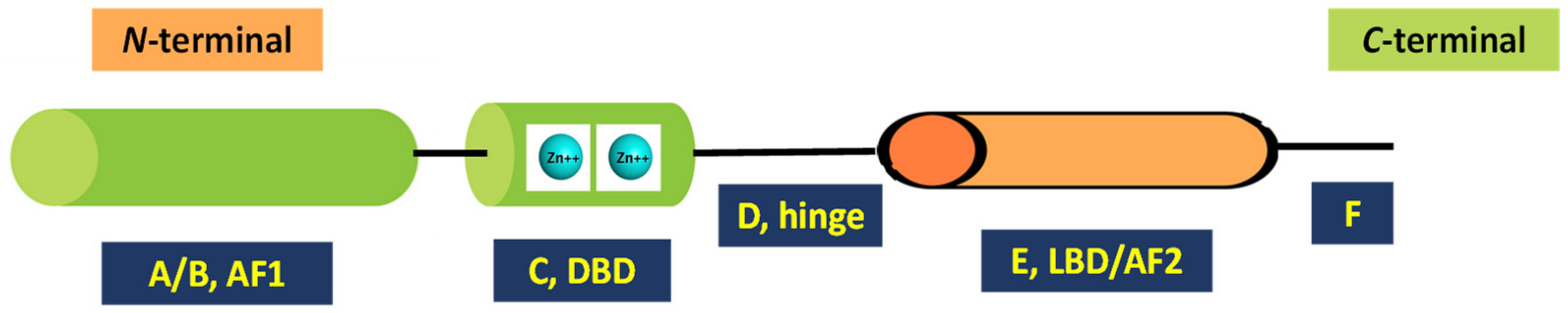 Biomedicines 11 02845 g001