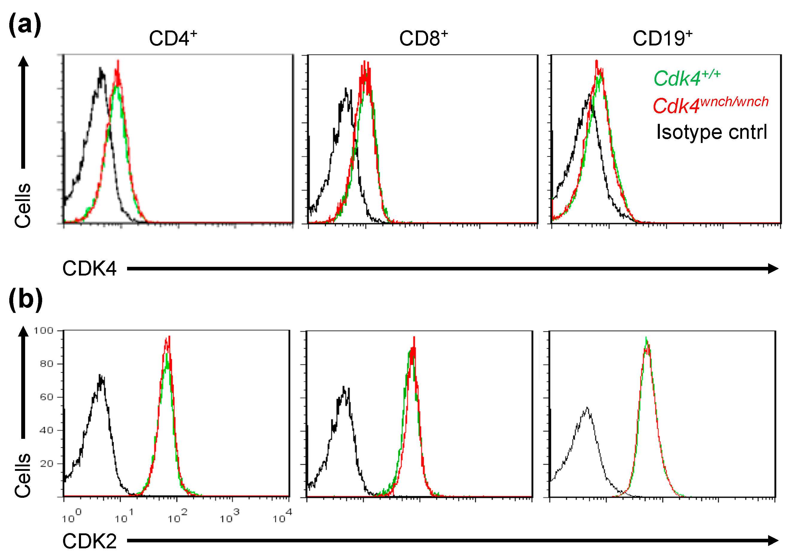 Biomedicines 11 02847 g002