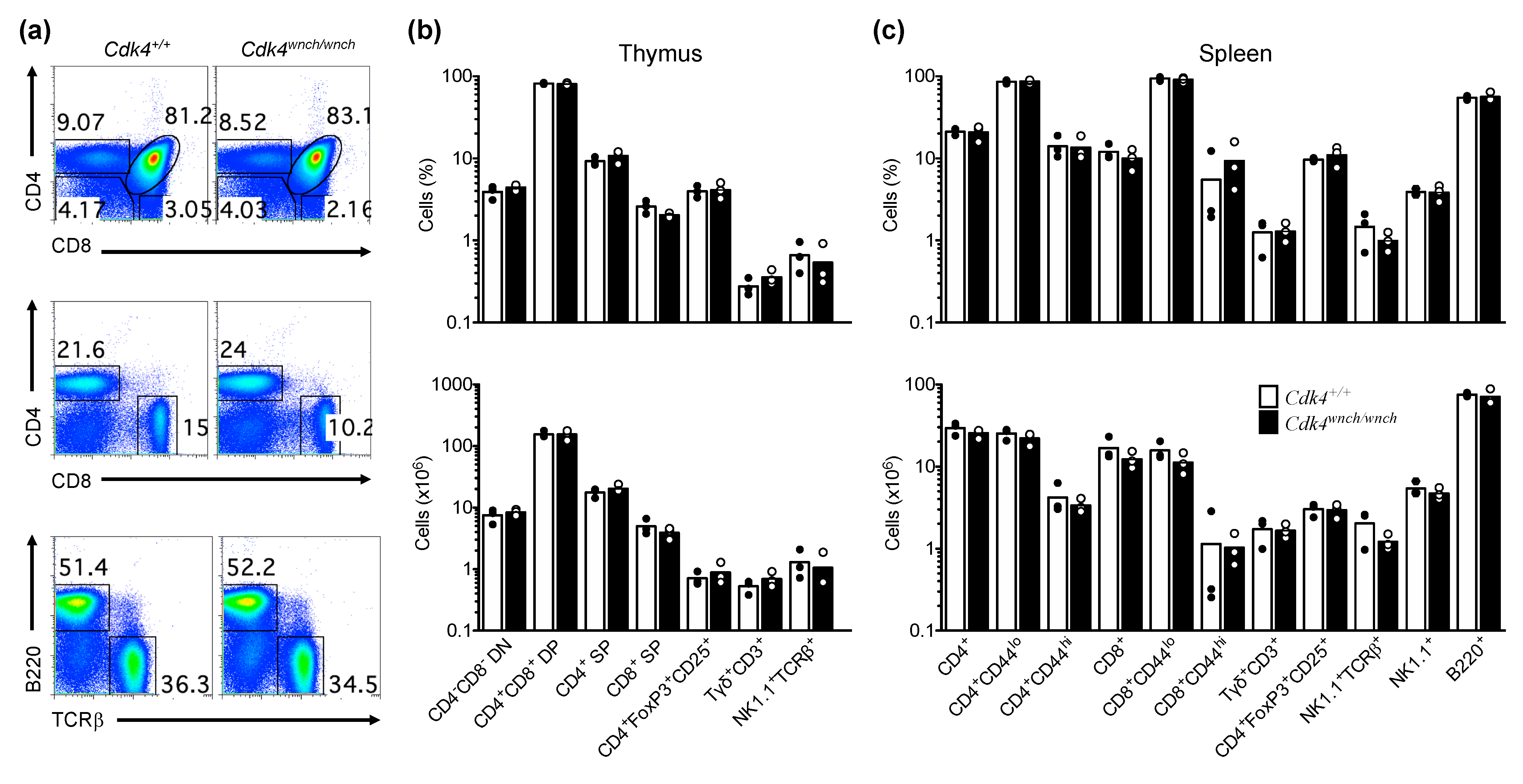Biomedicines 11 02847 g003