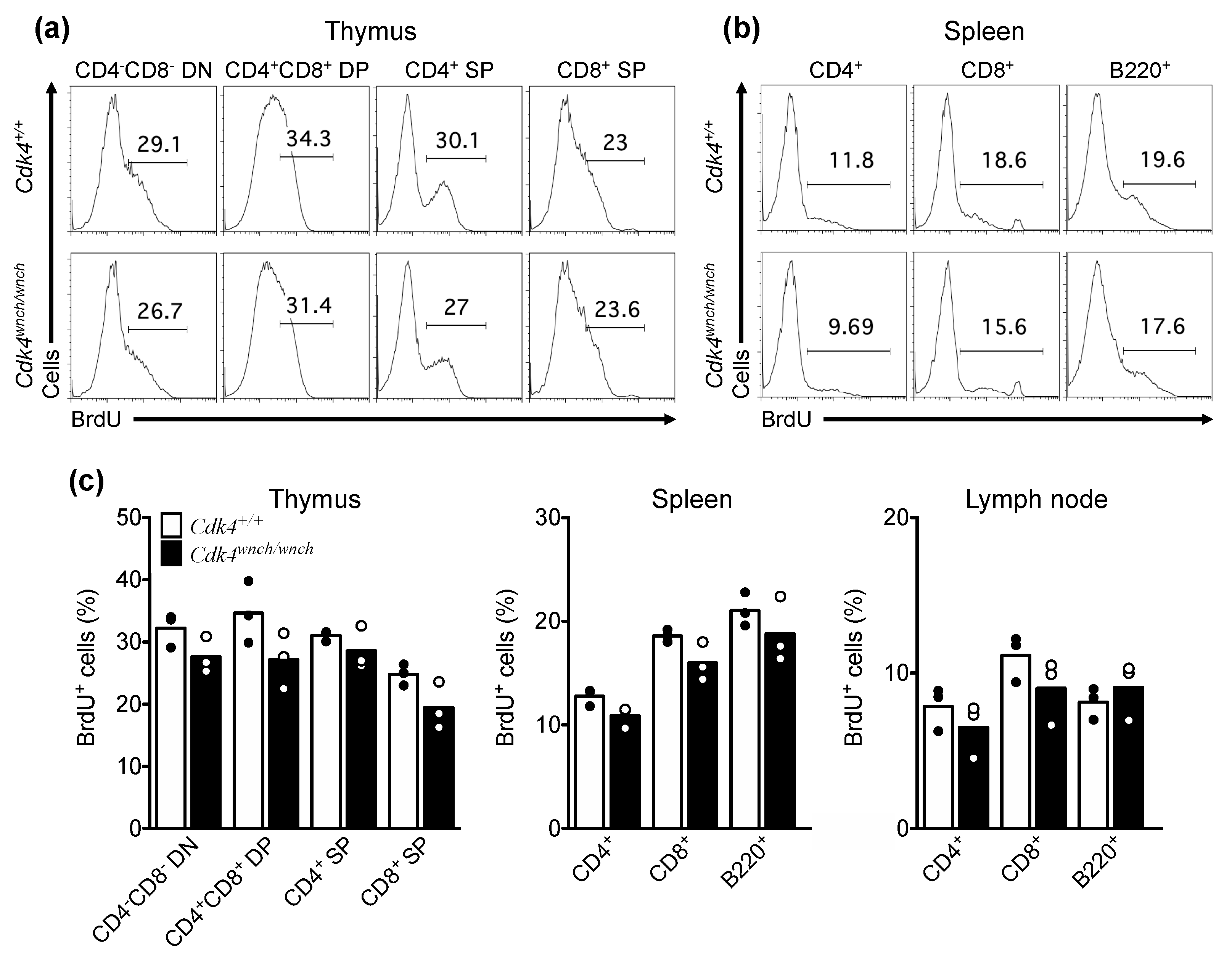 Biomedicines 11 02847 g004