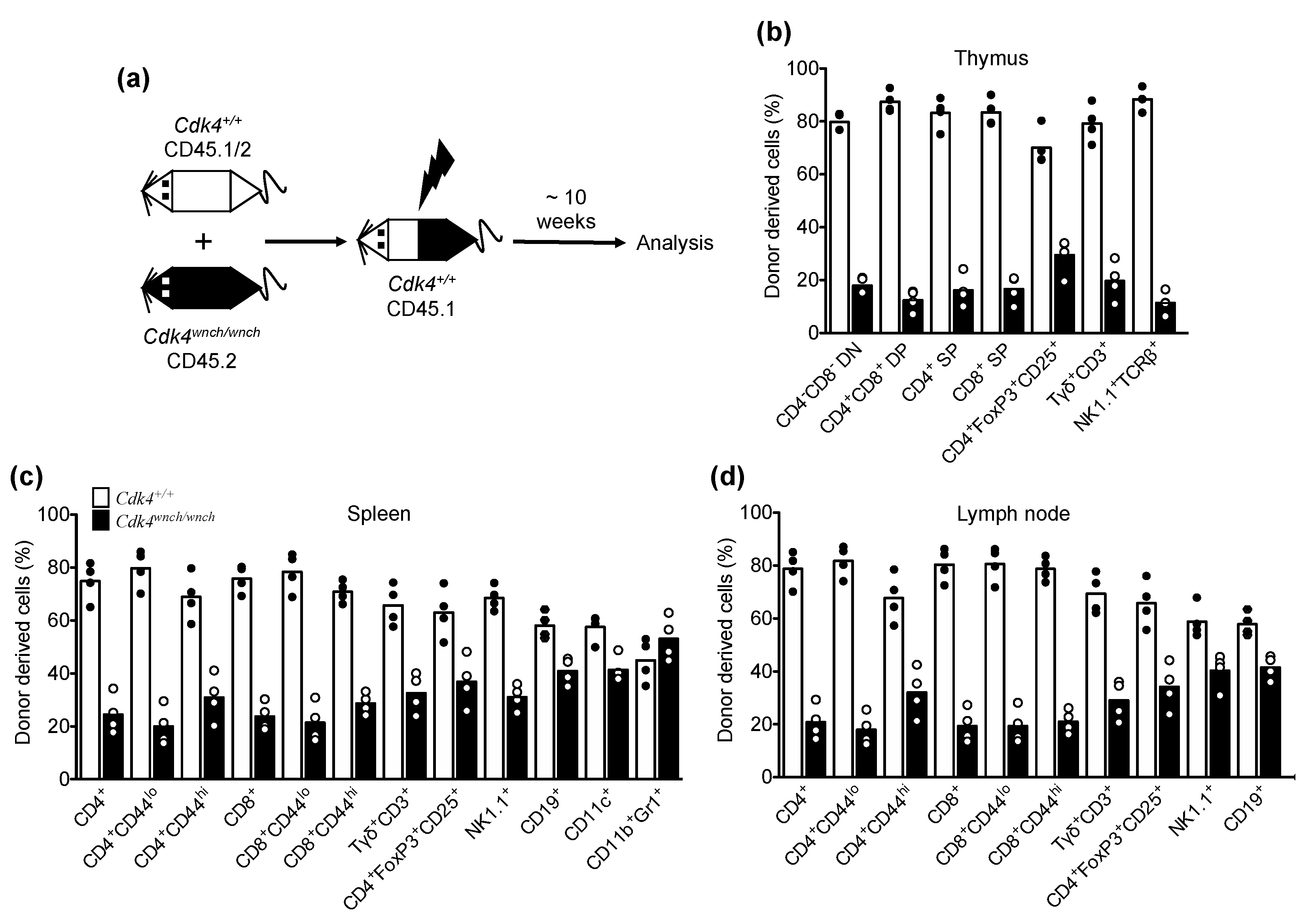 Biomedicines 11 02847 g006