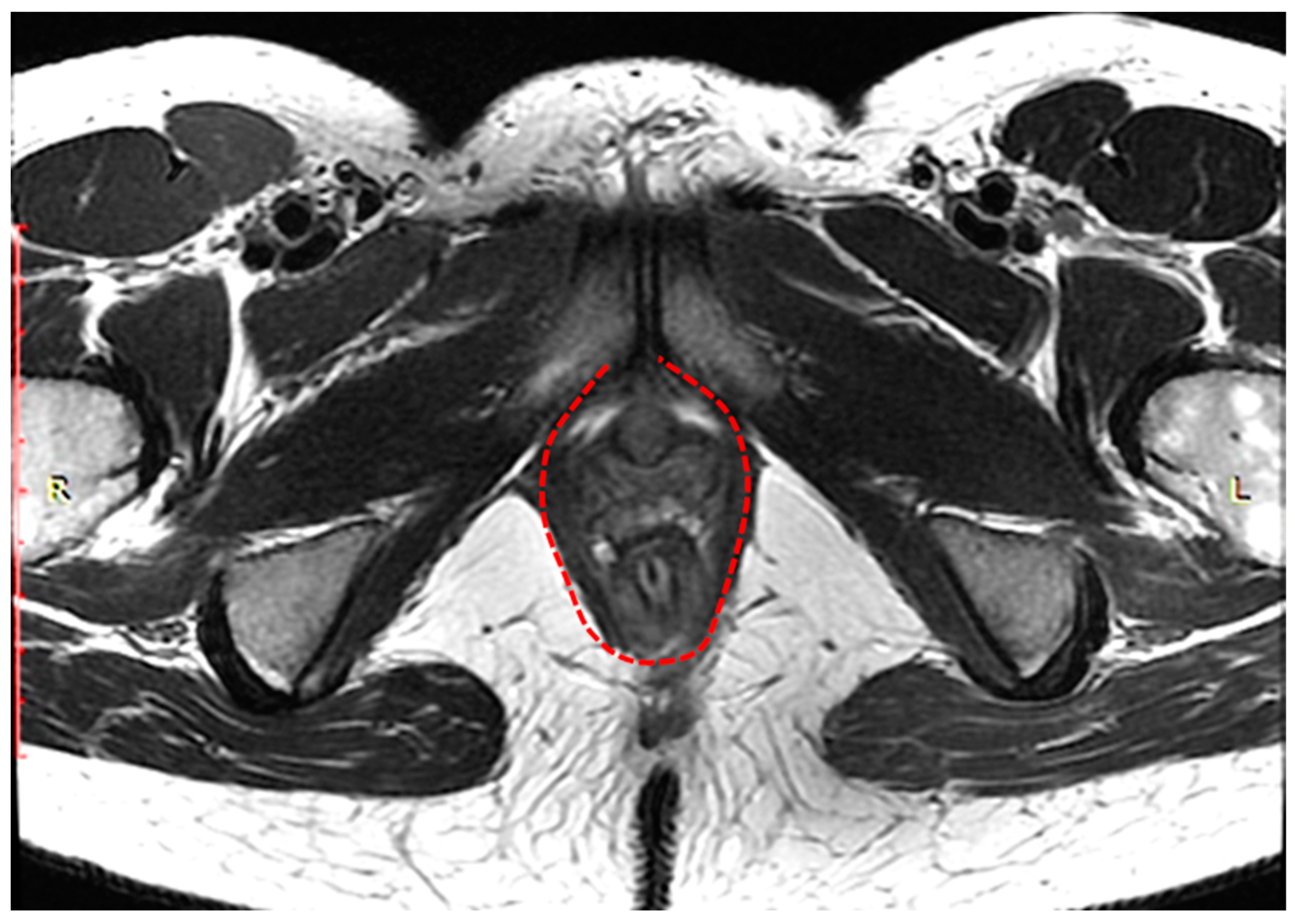Biomedicines 11 02849 g001