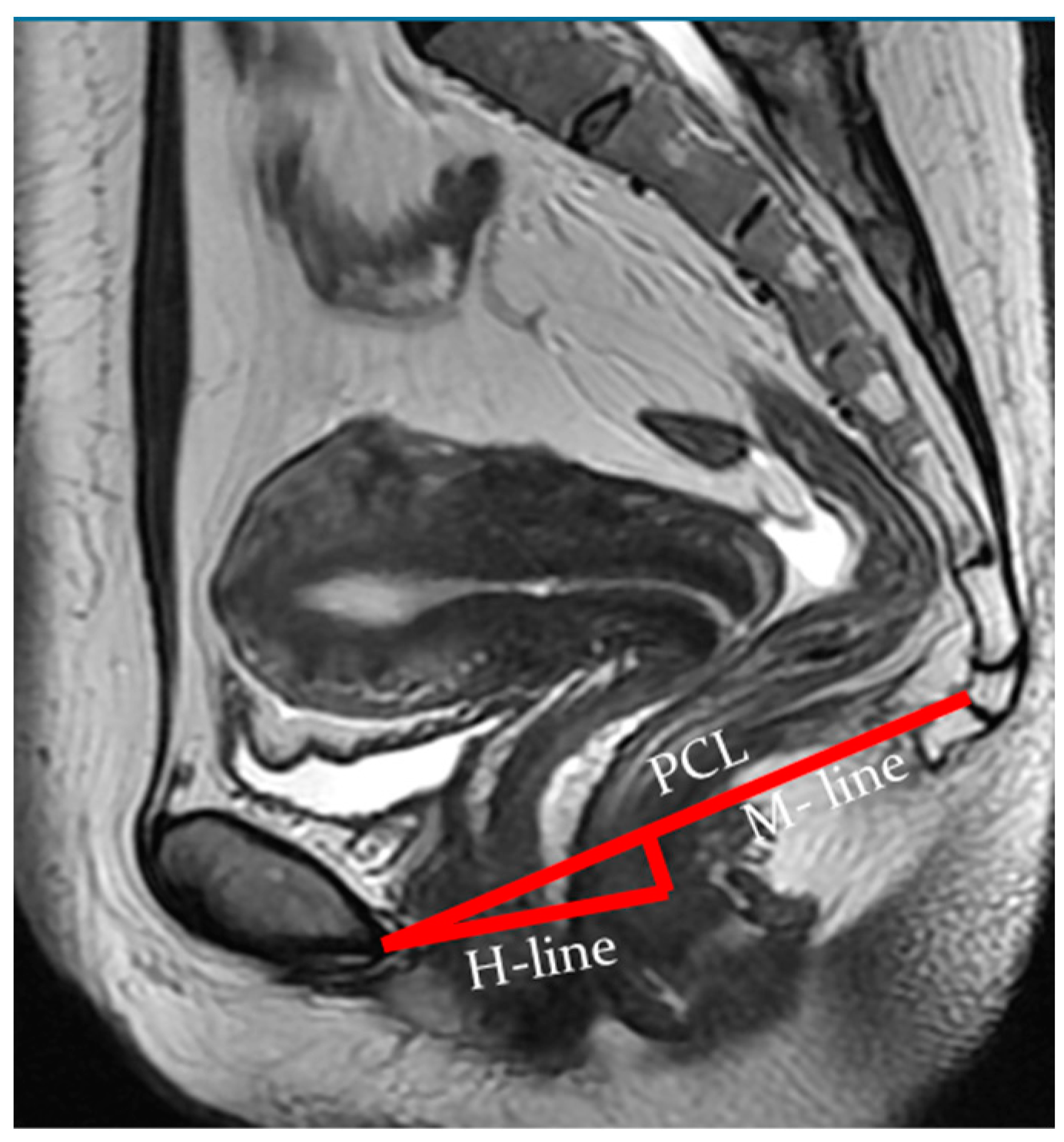 Biomedicines 11 02849 g003