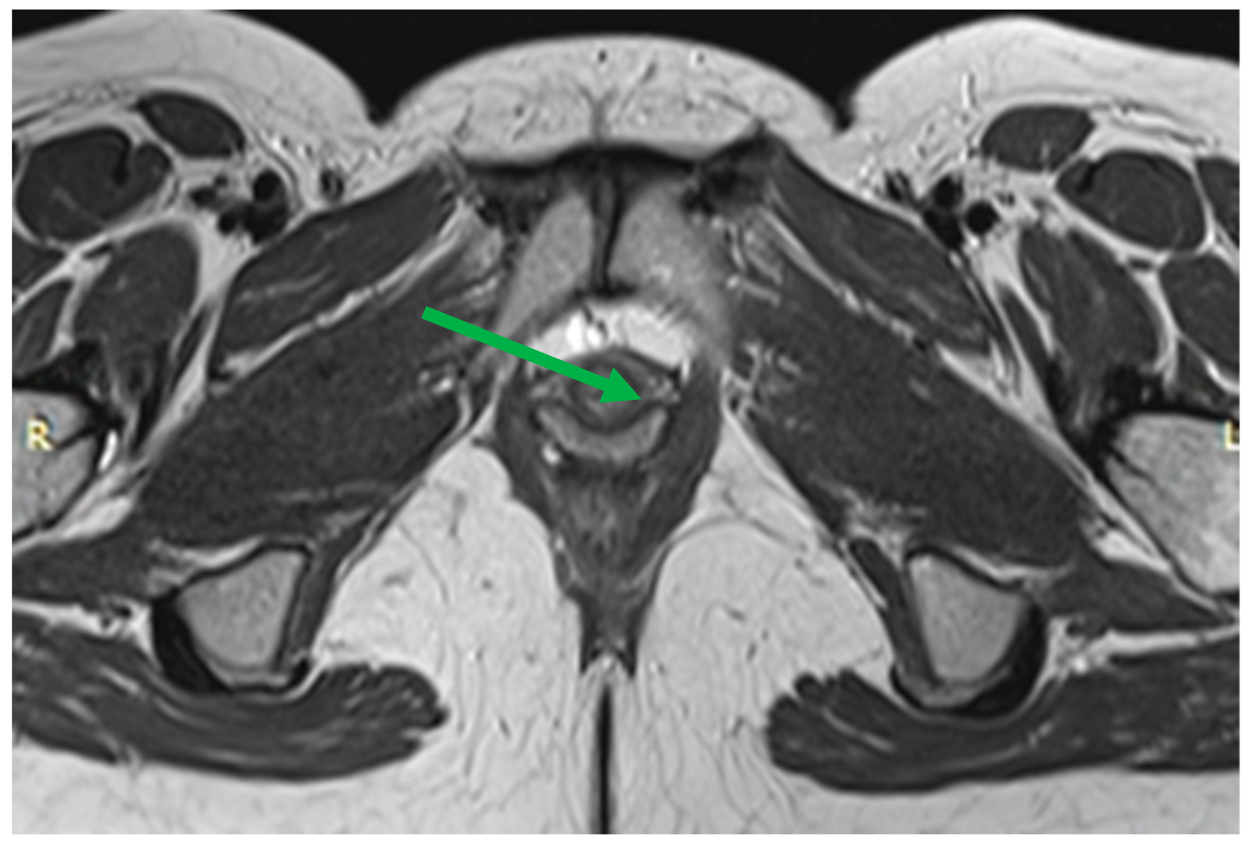 Biomedicines 11 02849 g007