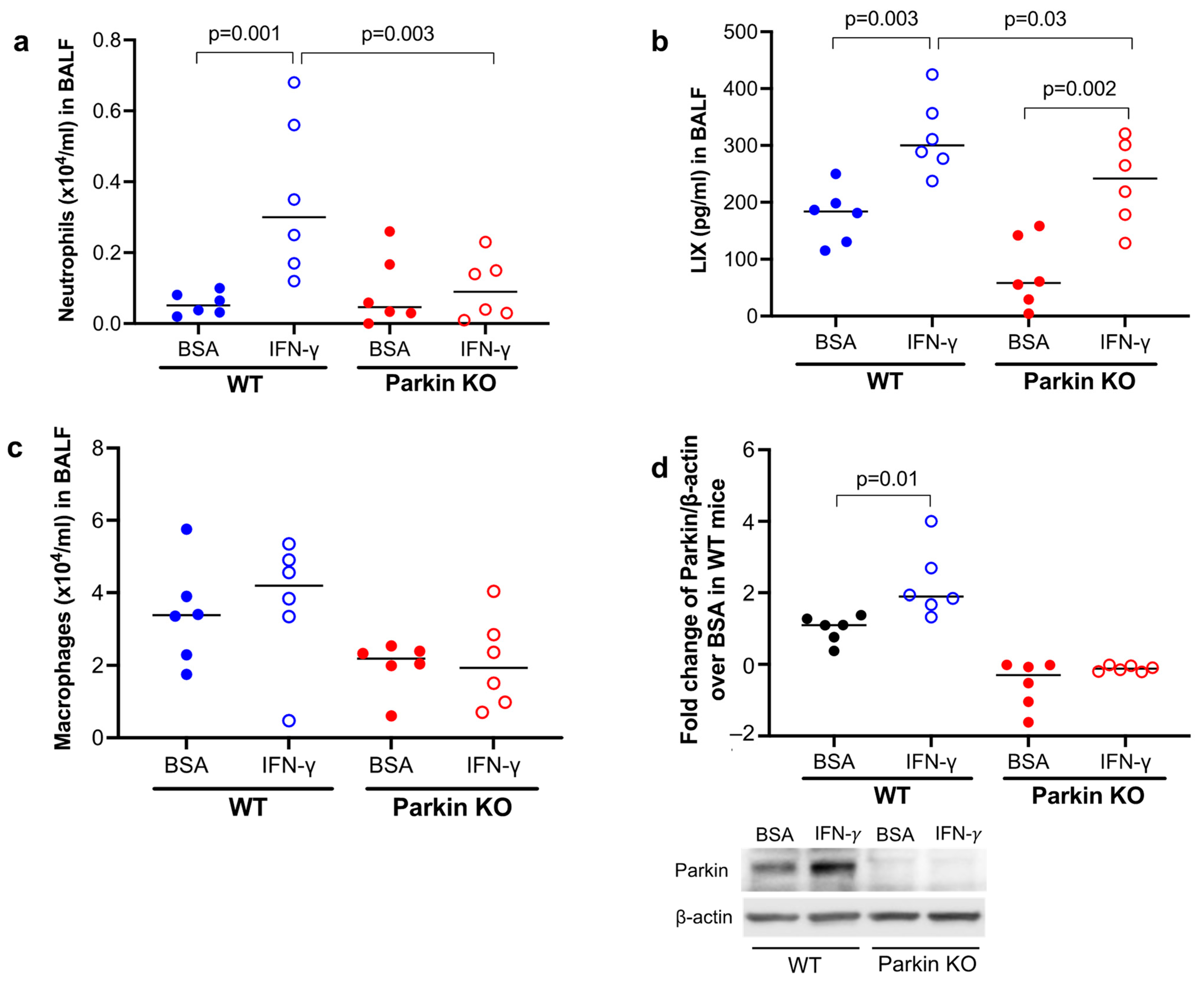 Biomedicines 11 02850 g001