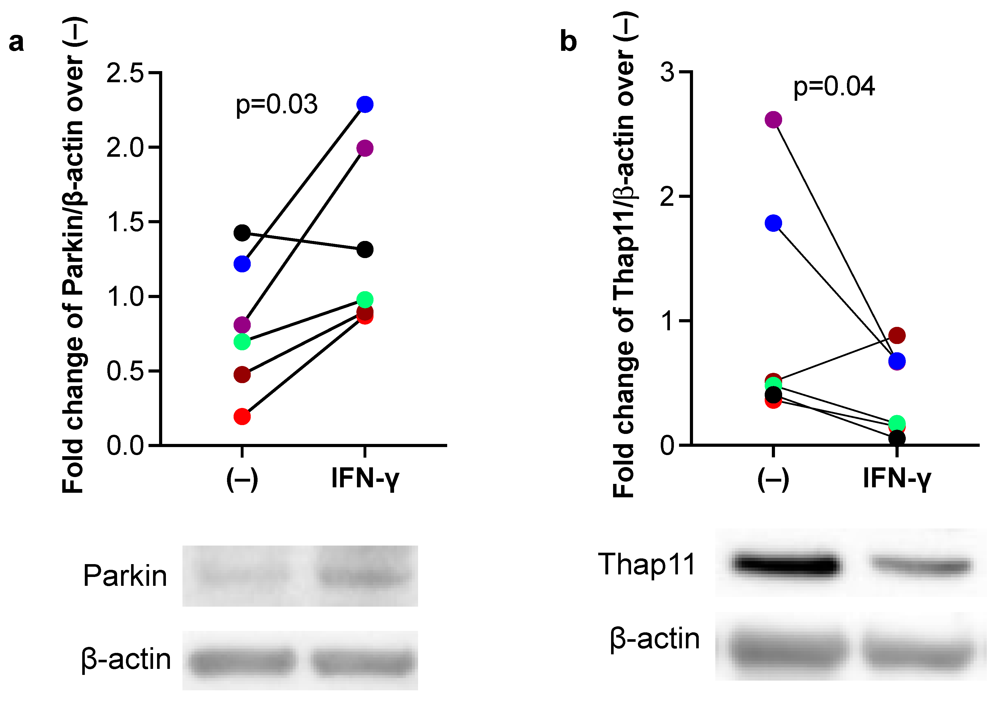 Biomedicines 11 02850 g002