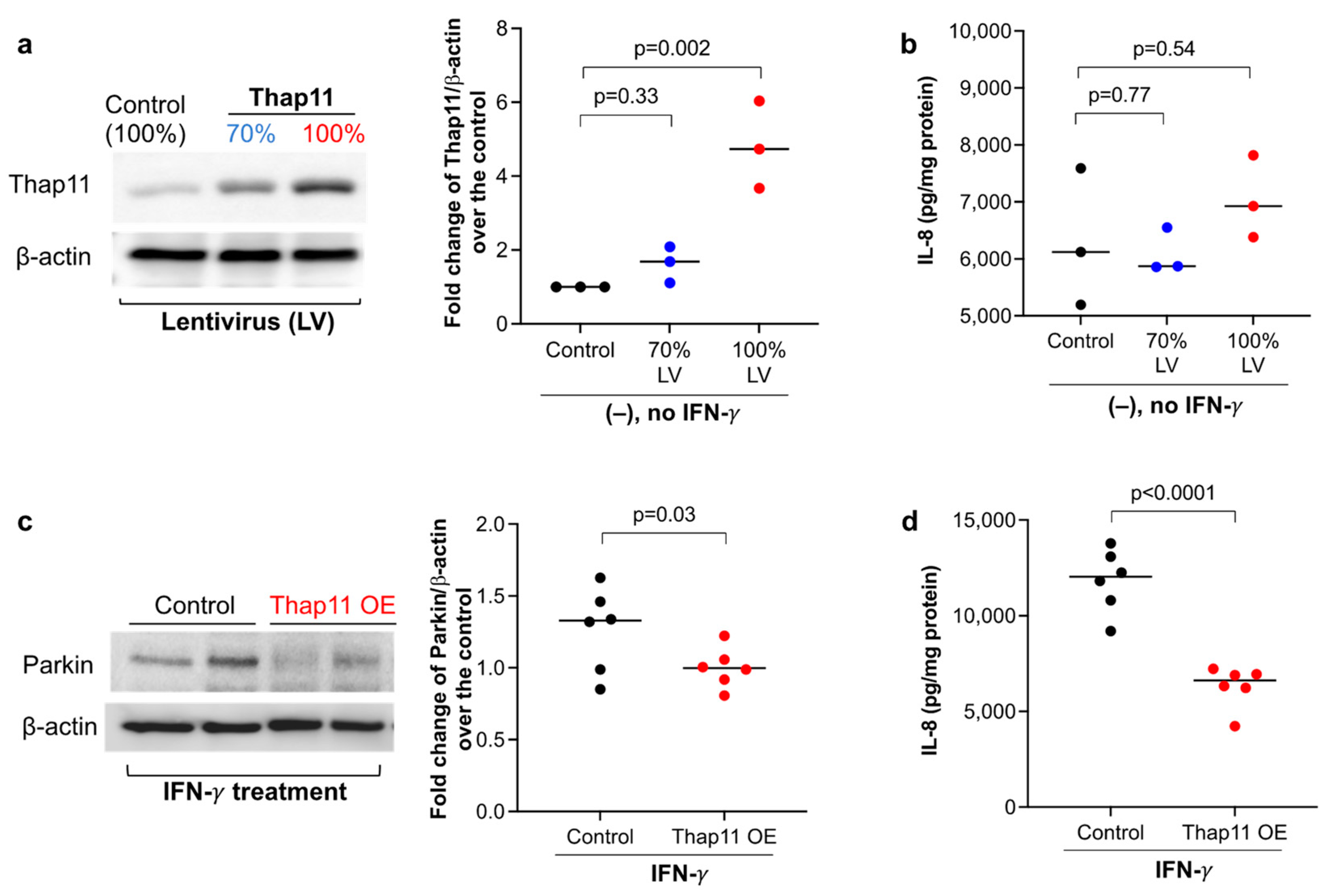 Biomedicines 11 02850 g003