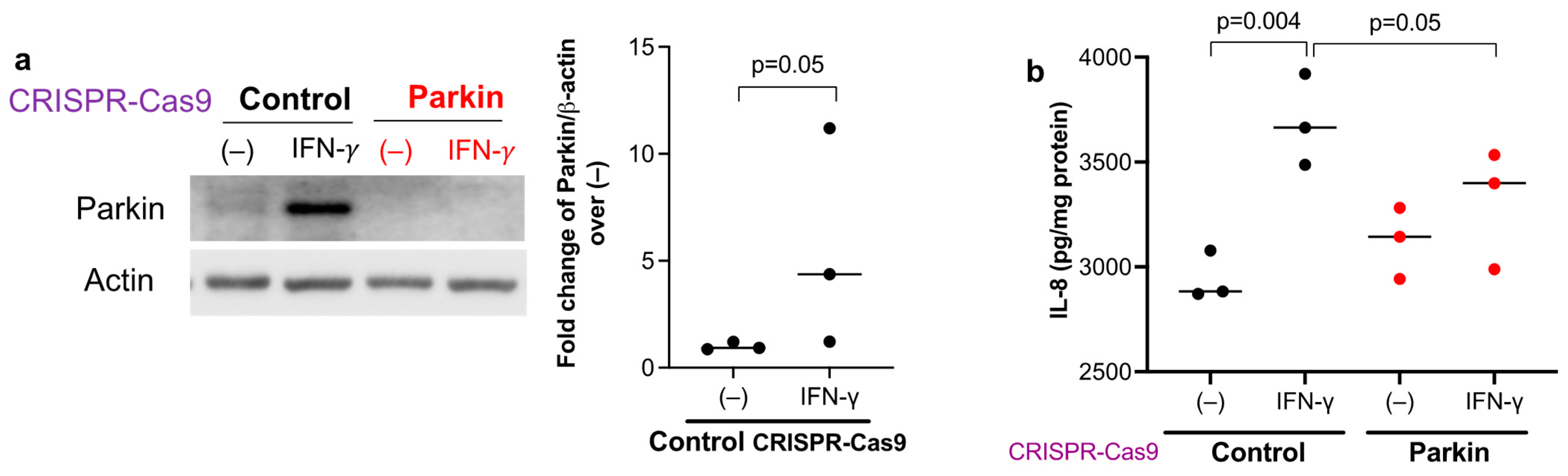Biomedicines 11 02850 g004