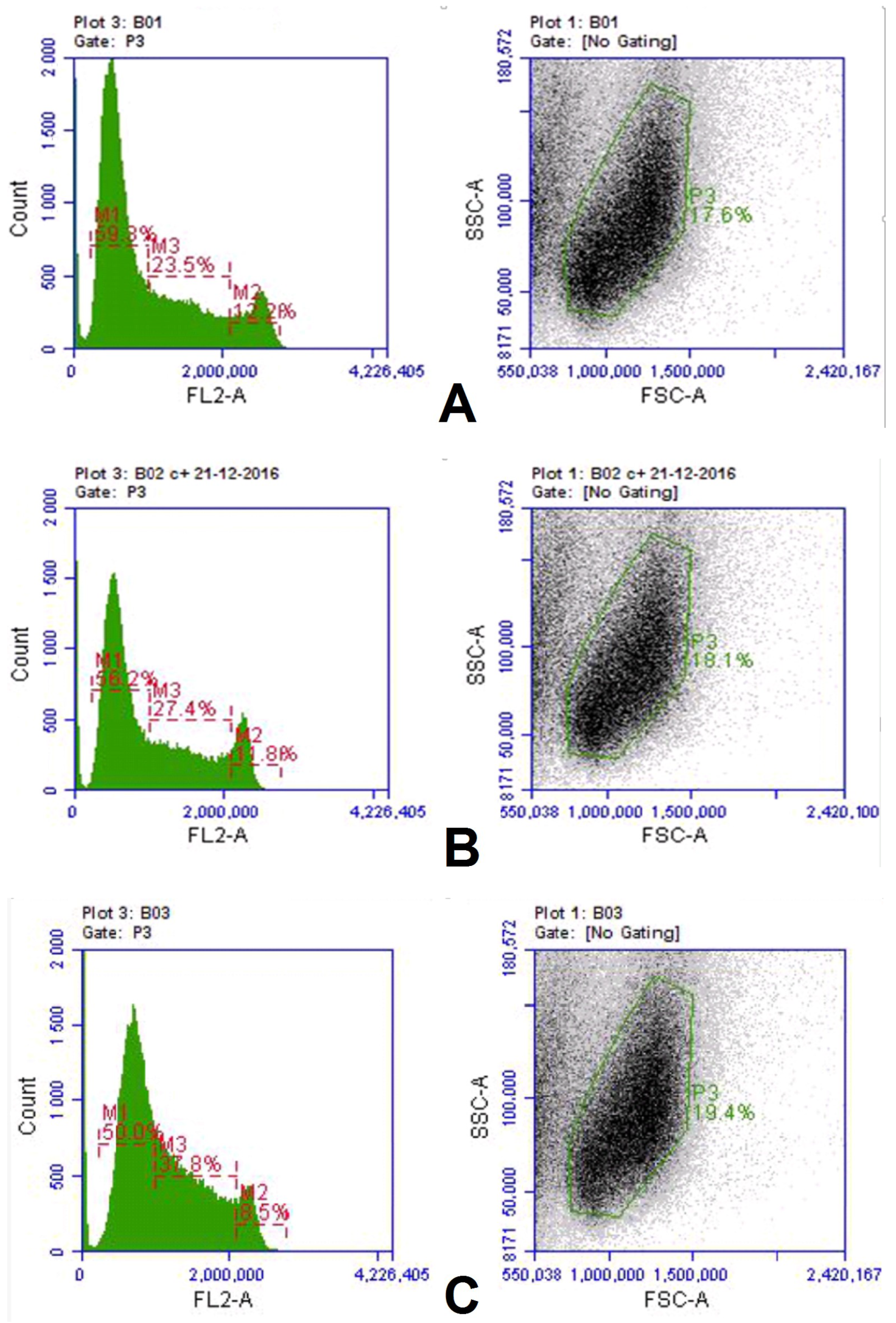 Biomedicines 11 02855 g002