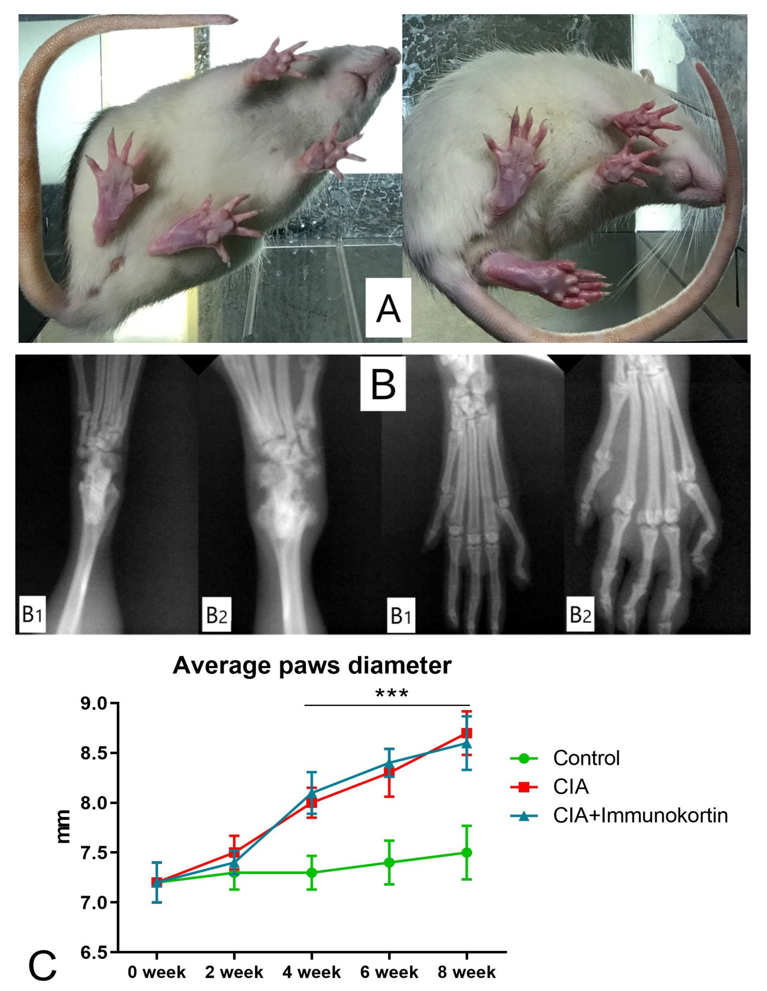 Biomedicines 11 02855 g007