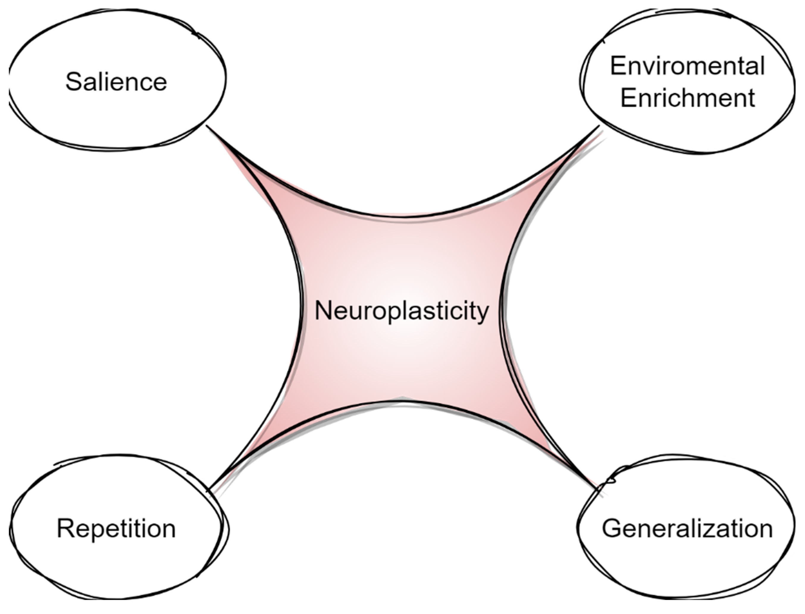 Biomedicines 11 02856 g002