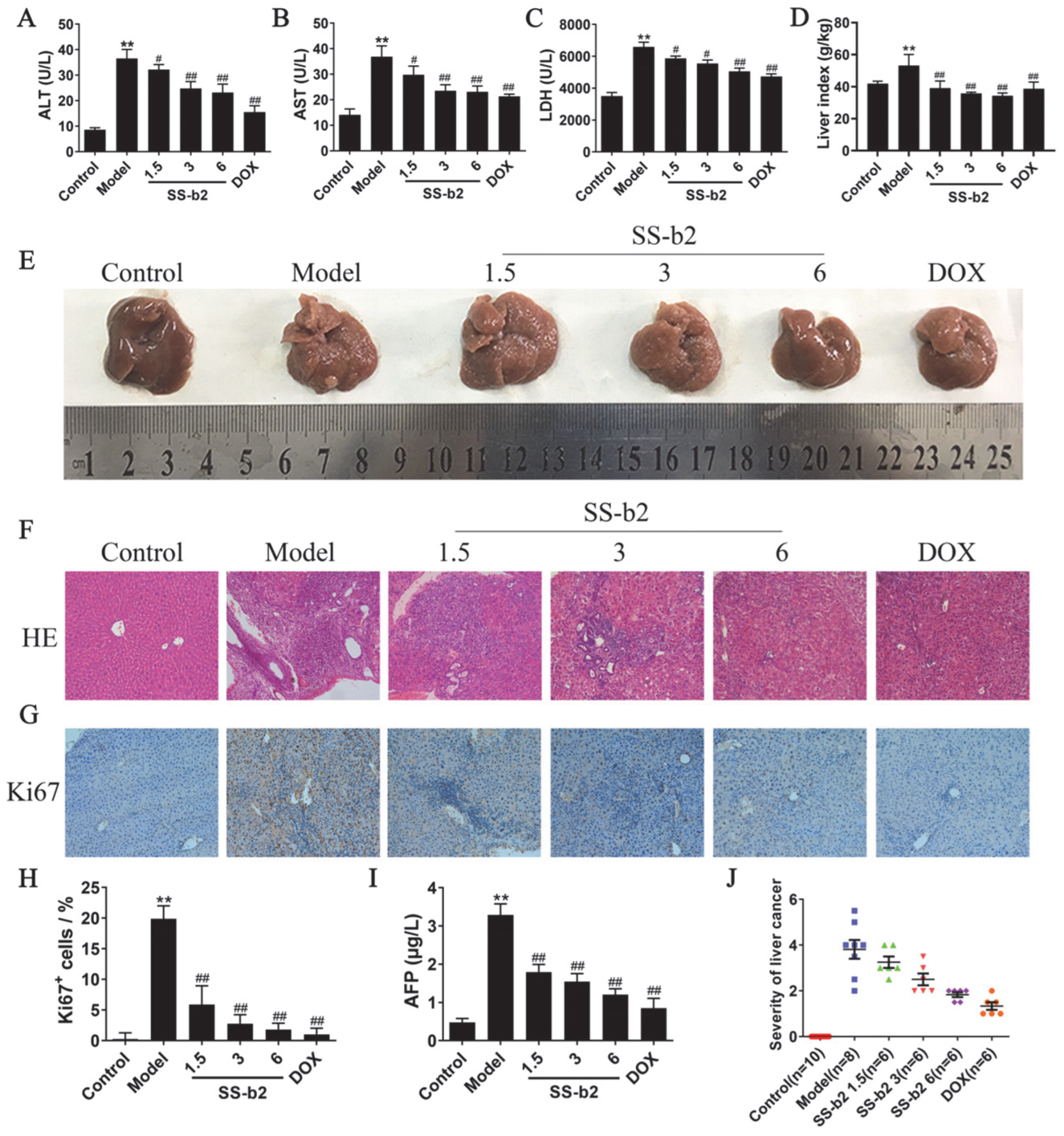 Biomedicines 11 02859 g001