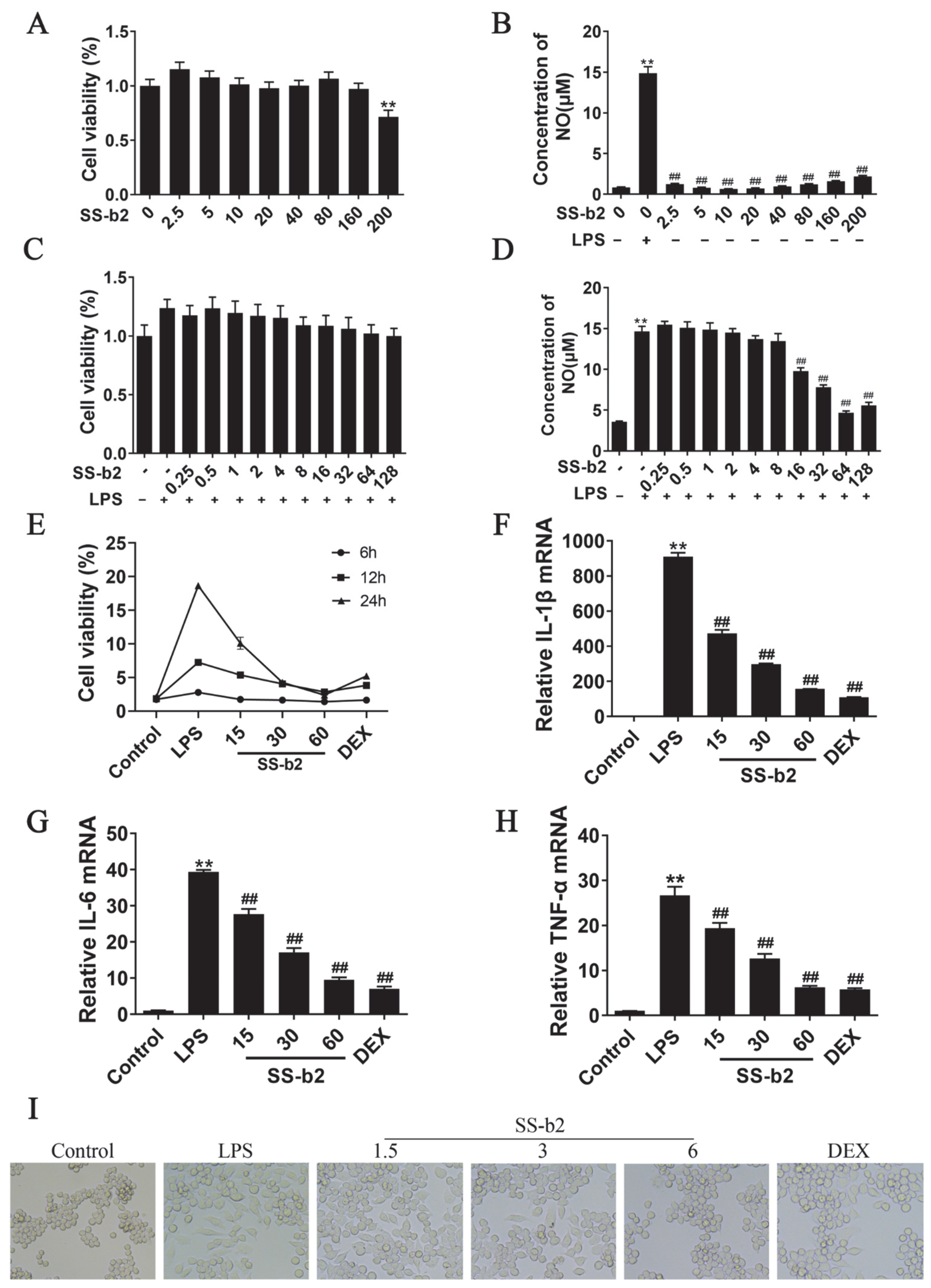 Biomedicines 11 02859 g005
