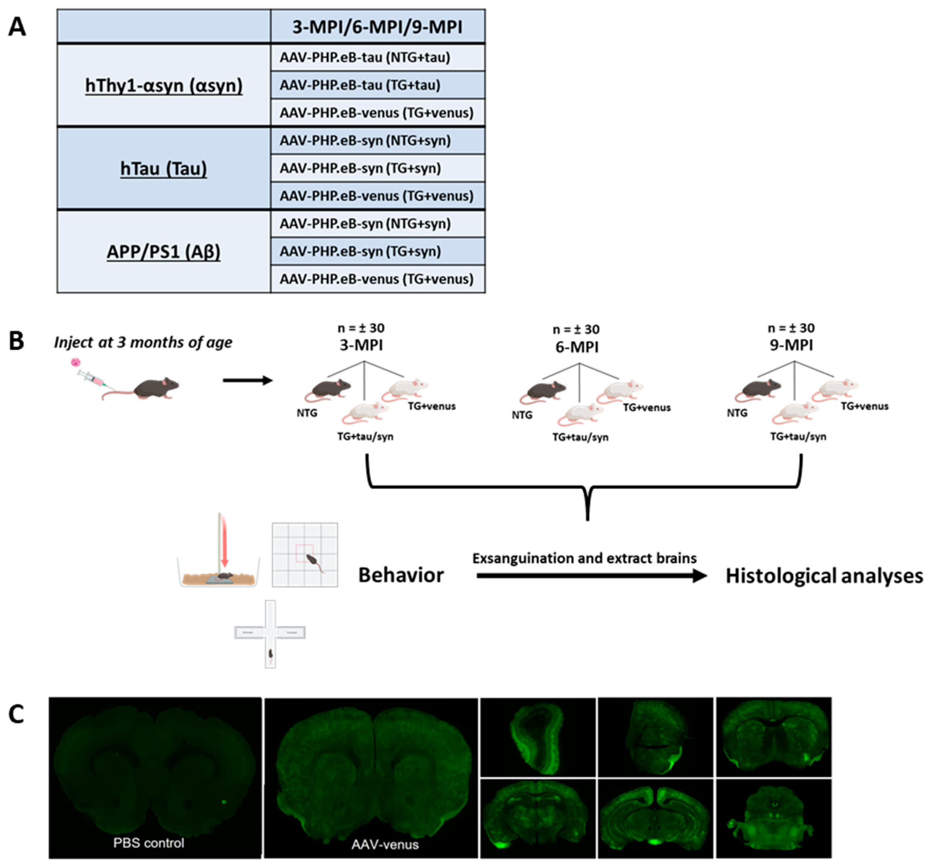 Biomedicines 11 02863 g001 Biomedicines 11 02863 g001