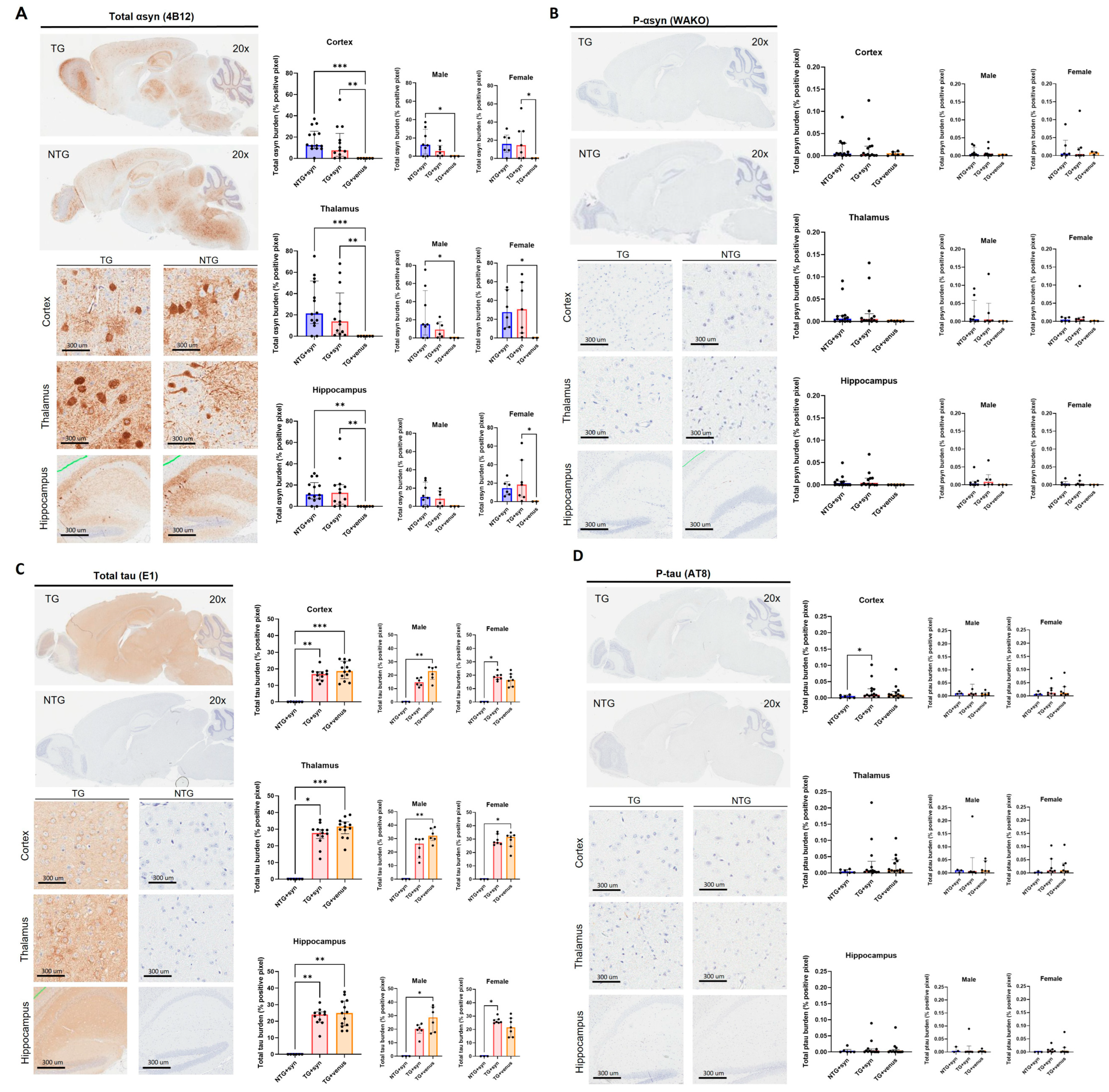 Biomedicines 11 02863 g003 Biomedicines 11 02863 g003