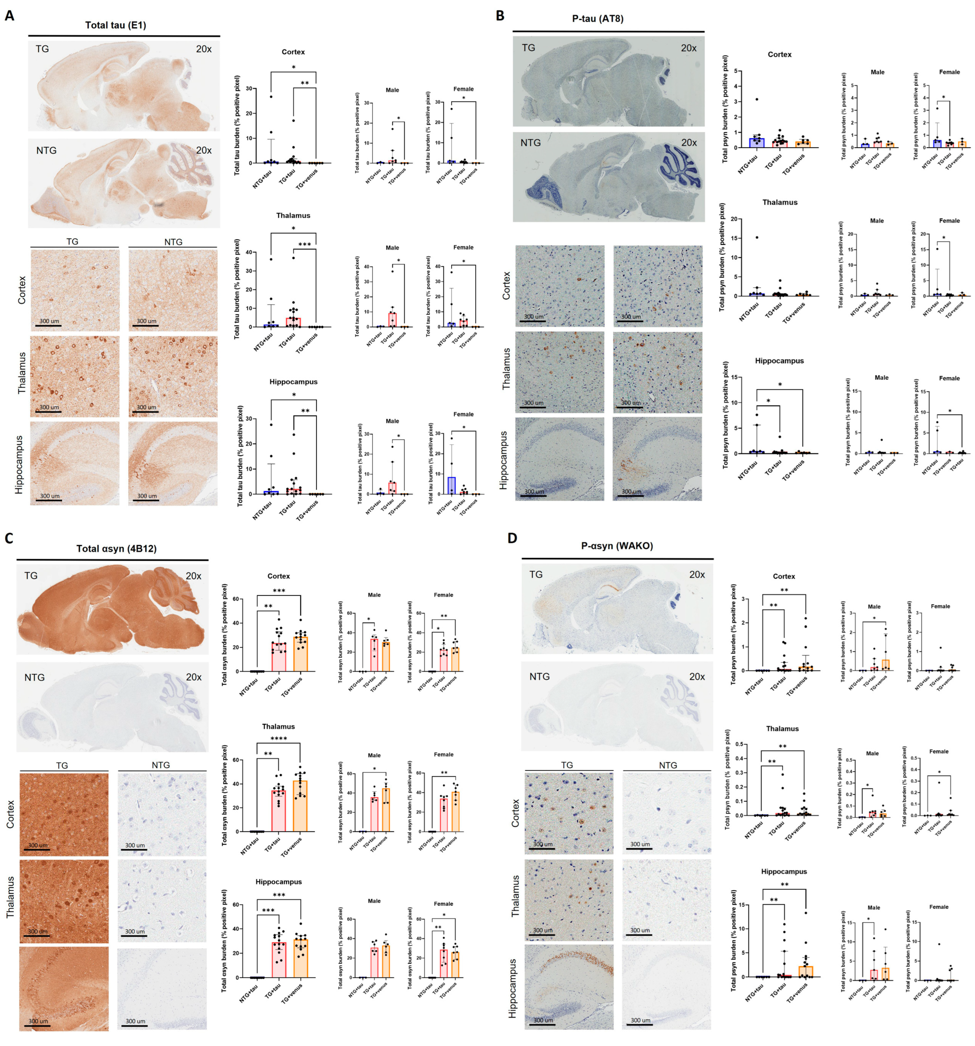Biomedicines 11 02863 g005 Biomedicines 11 02863 g005