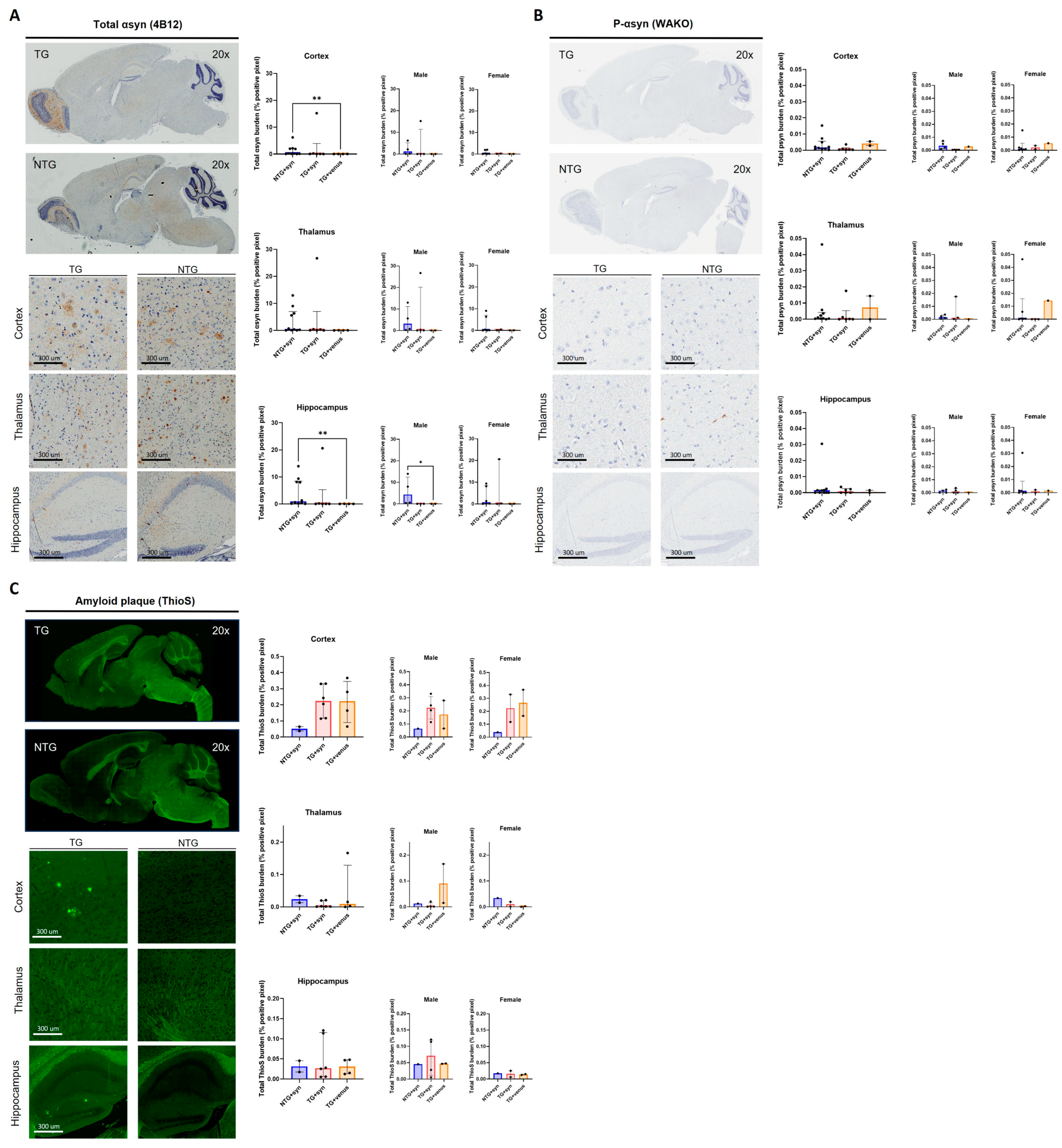 Biomedicines 11 02863 g007 Biomedicines 11 02863 g007