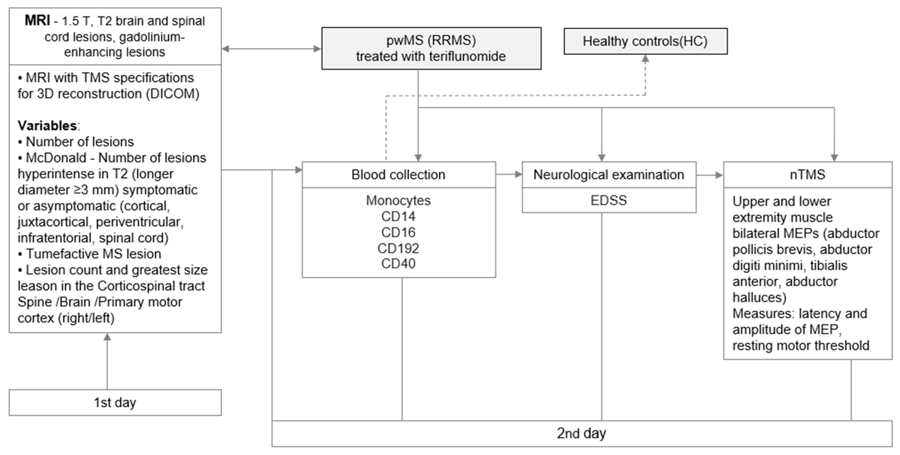 Biomedicines 11 02870 g001
