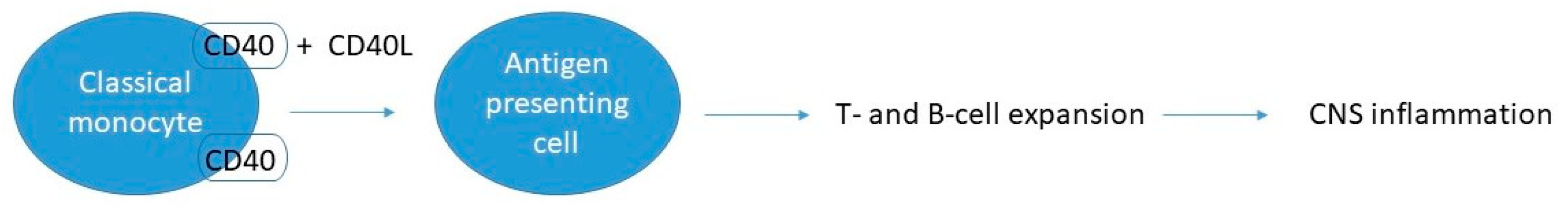 Biomedicines 11 02870 g006