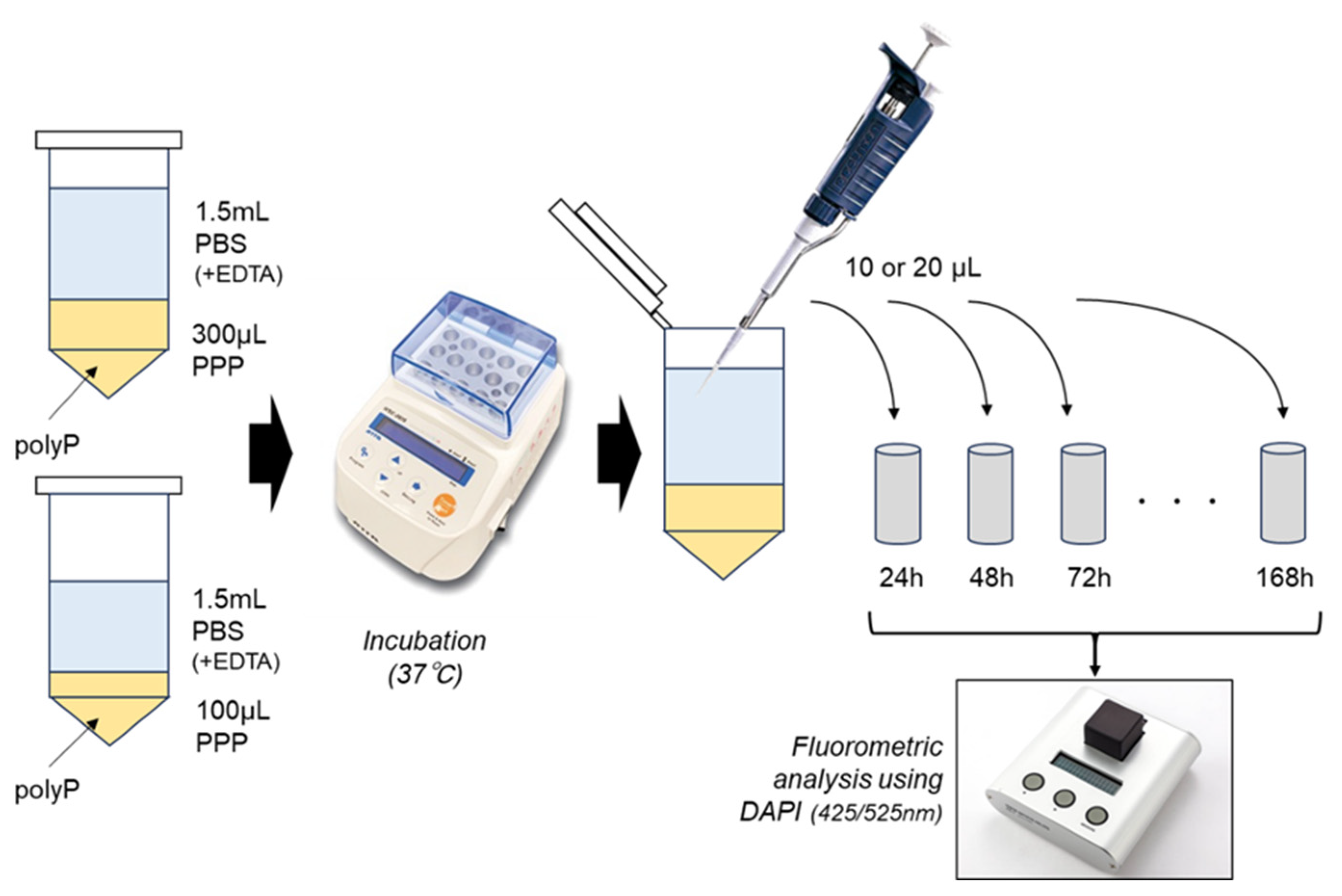Biomedicines 11 02871 g001