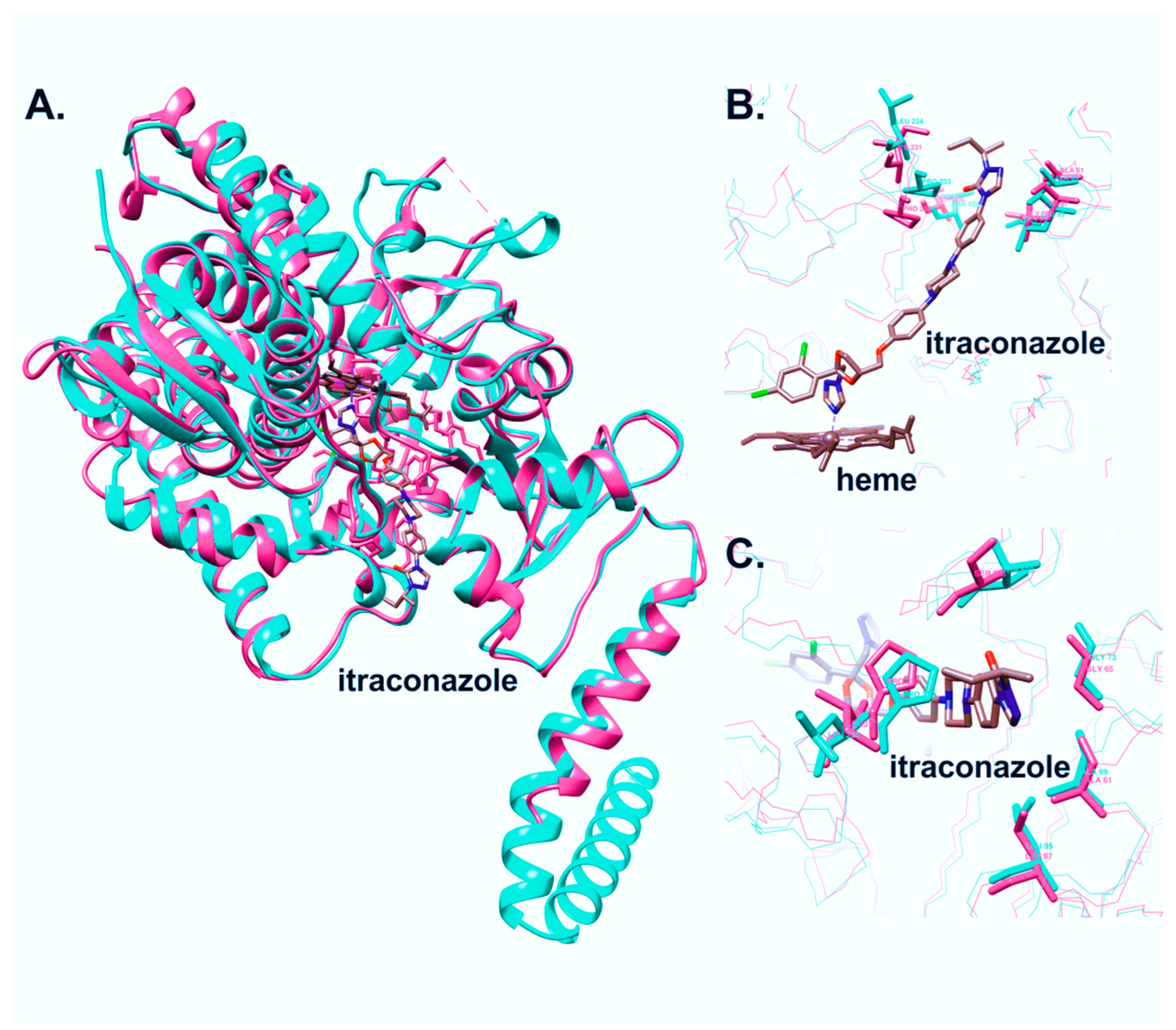 Biomedicines 11 02873 g003 Biomedicines 11 02873 g003