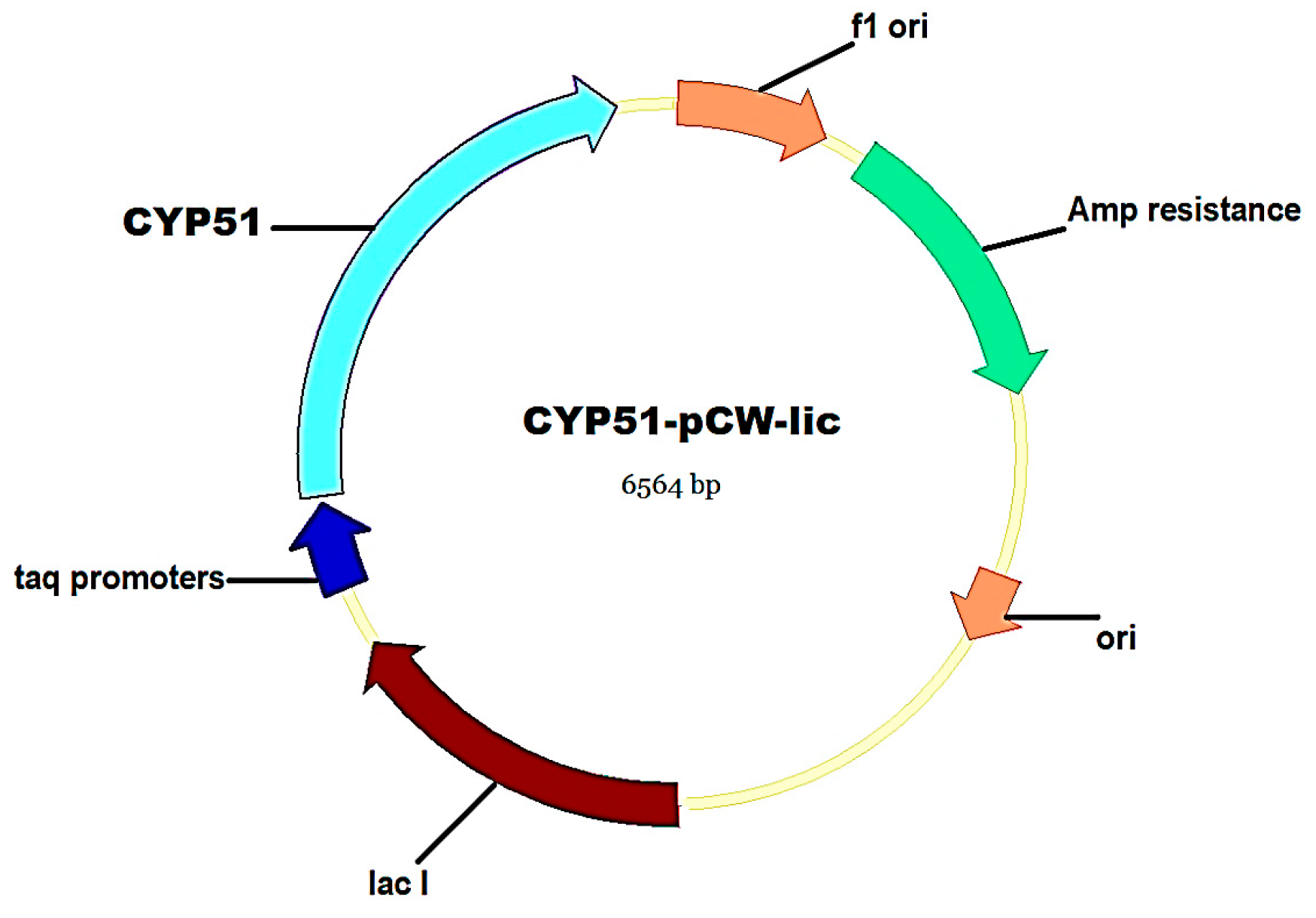 Biomedicines 11 02873 g004 Biomedicines 11 02873 g004