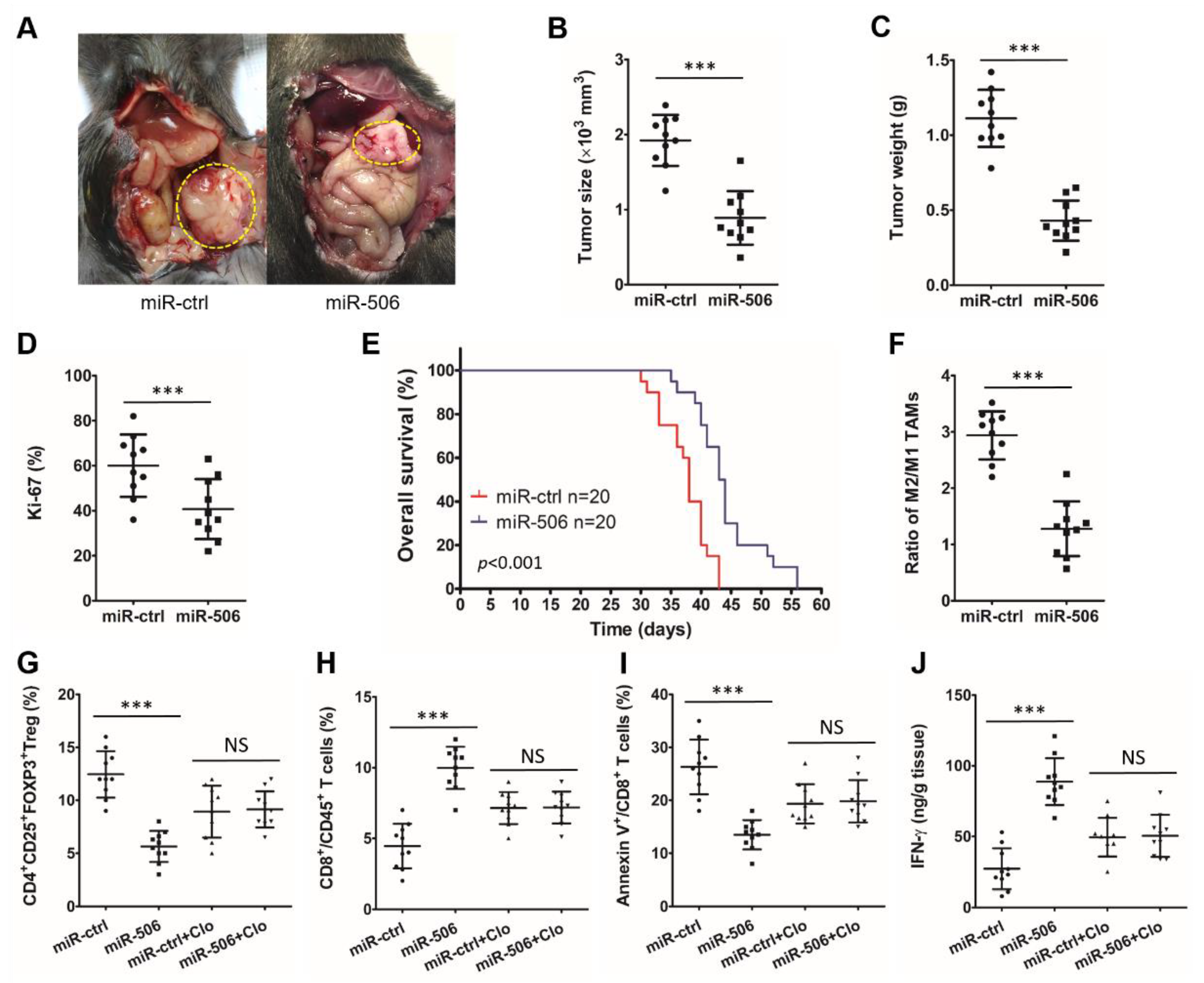 Biomedicines 11 02874 g003