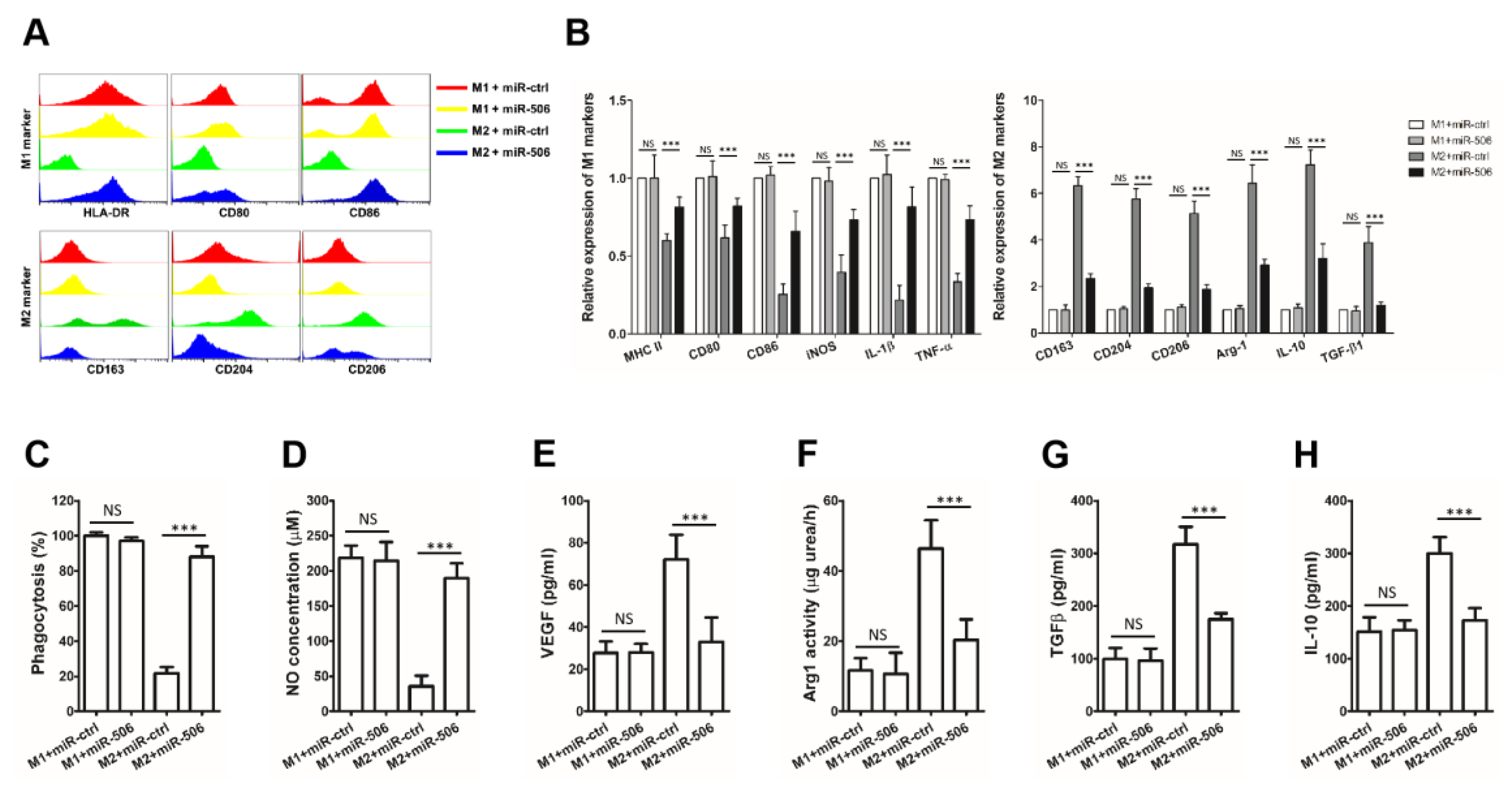 Biomedicines 11 02874 g004